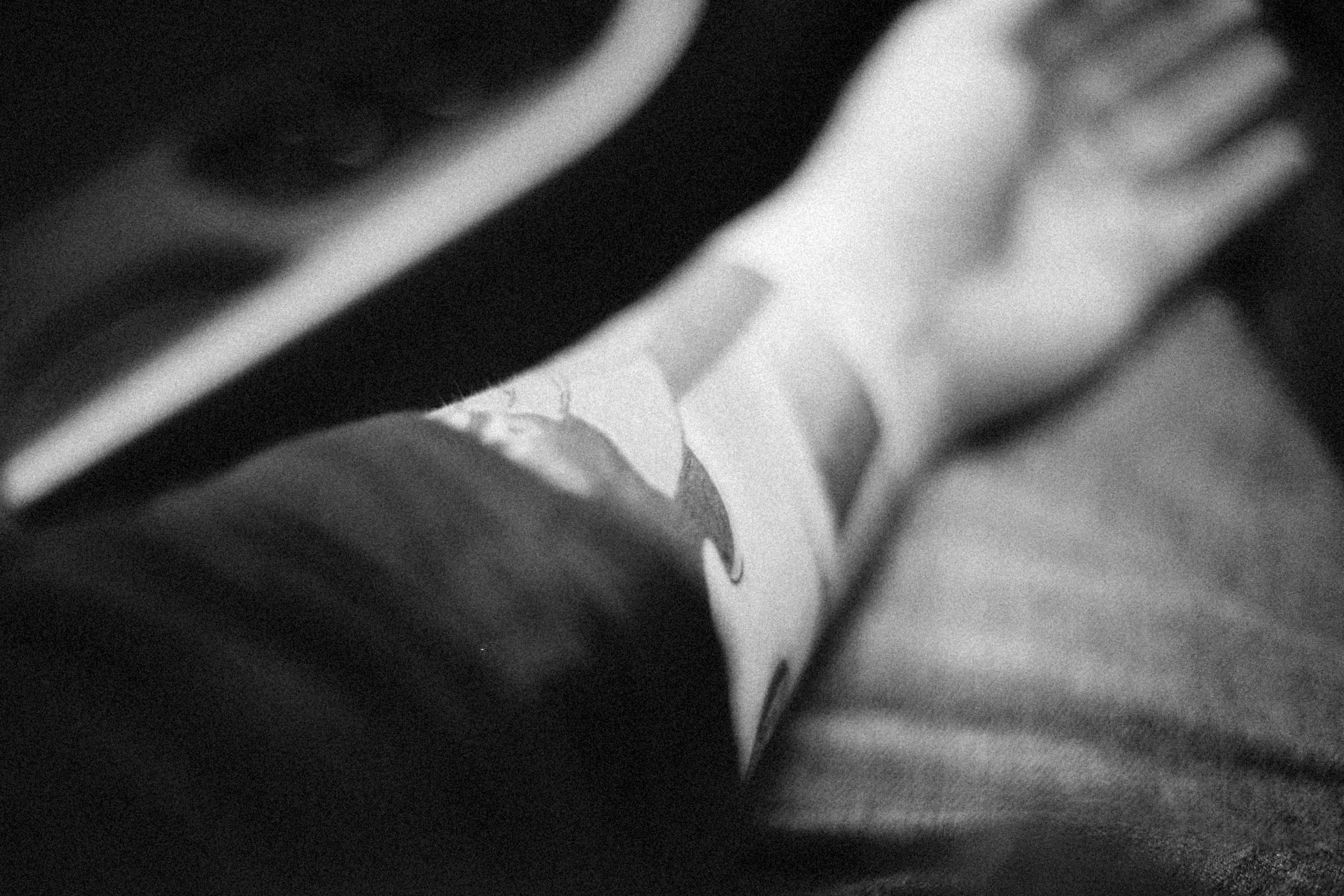 Photo by alexeydemidov