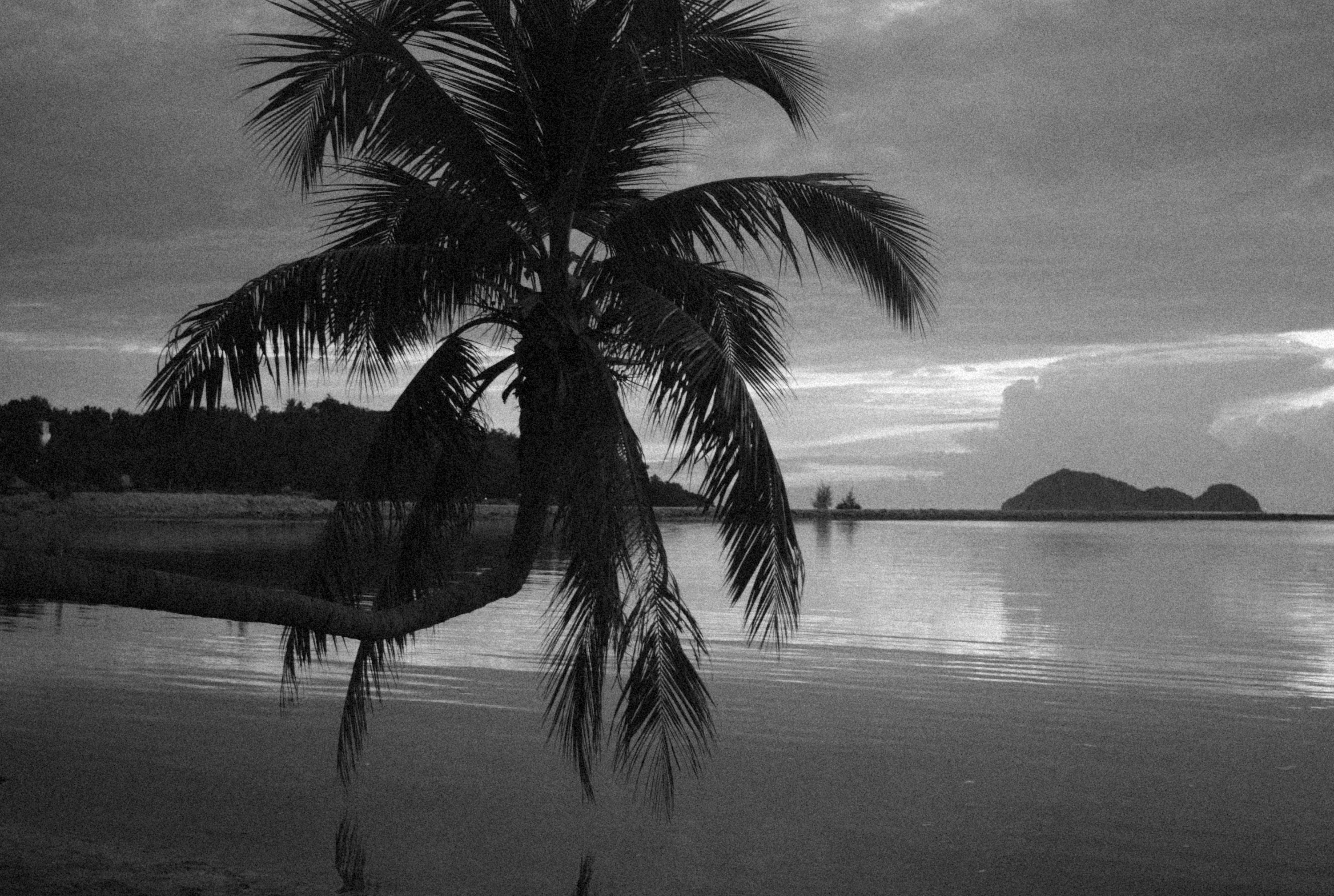 Photo by alexeydemidov