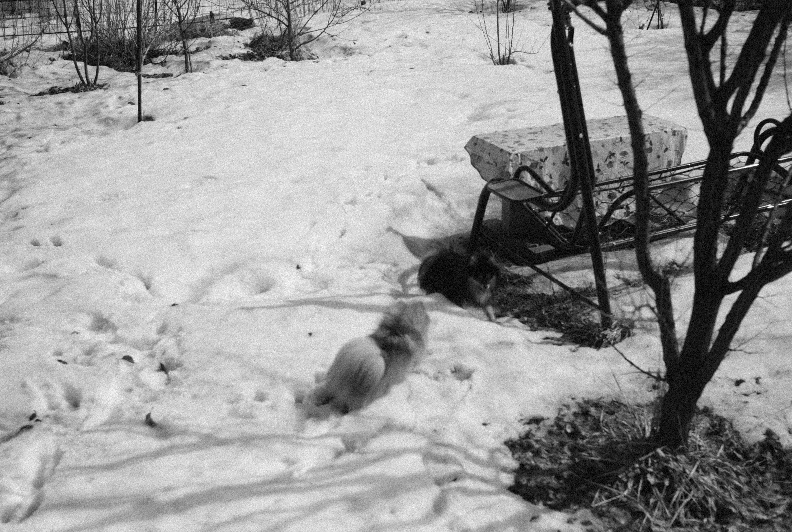 Photo by alexeydemidov