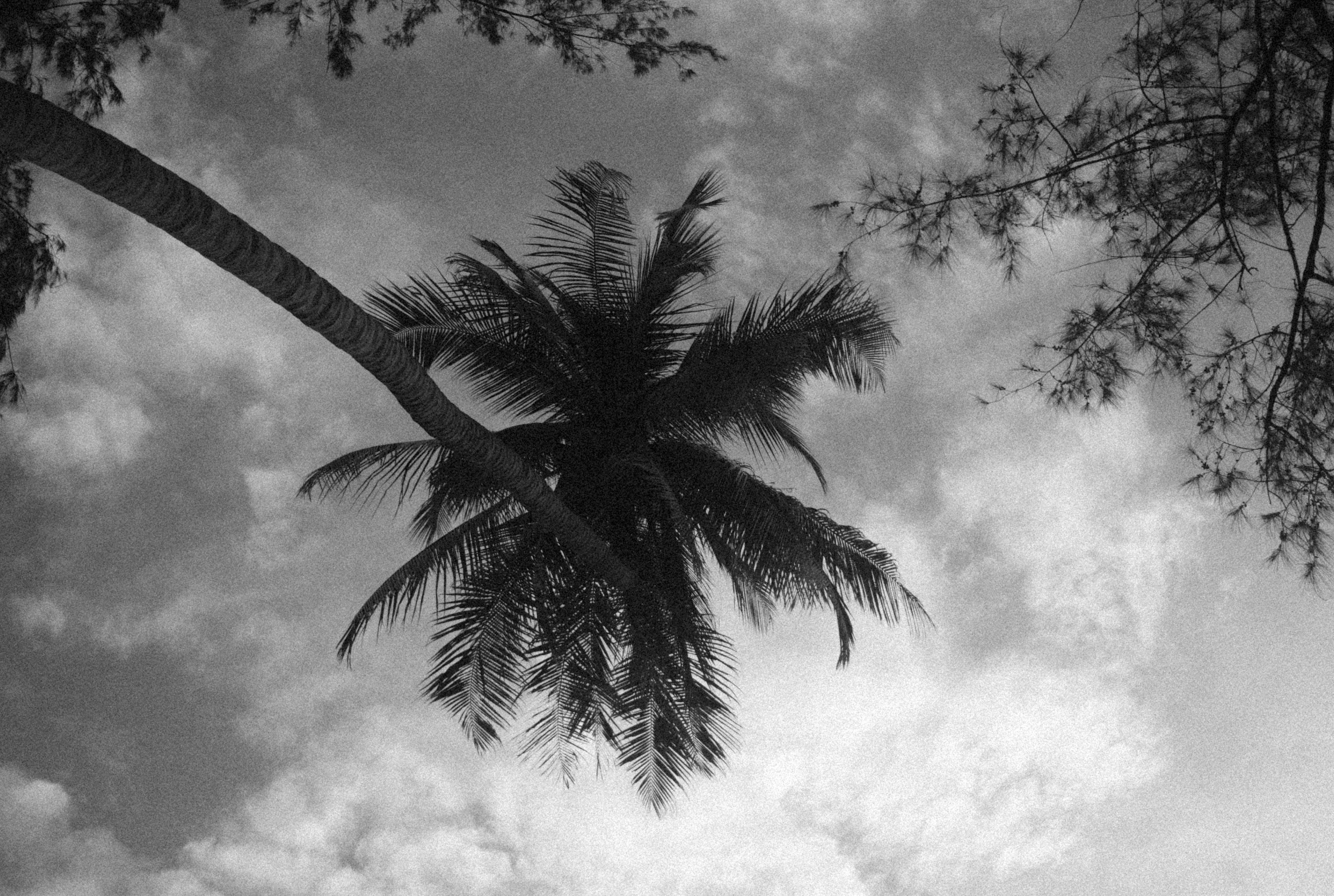 Photo by alexeydemidov