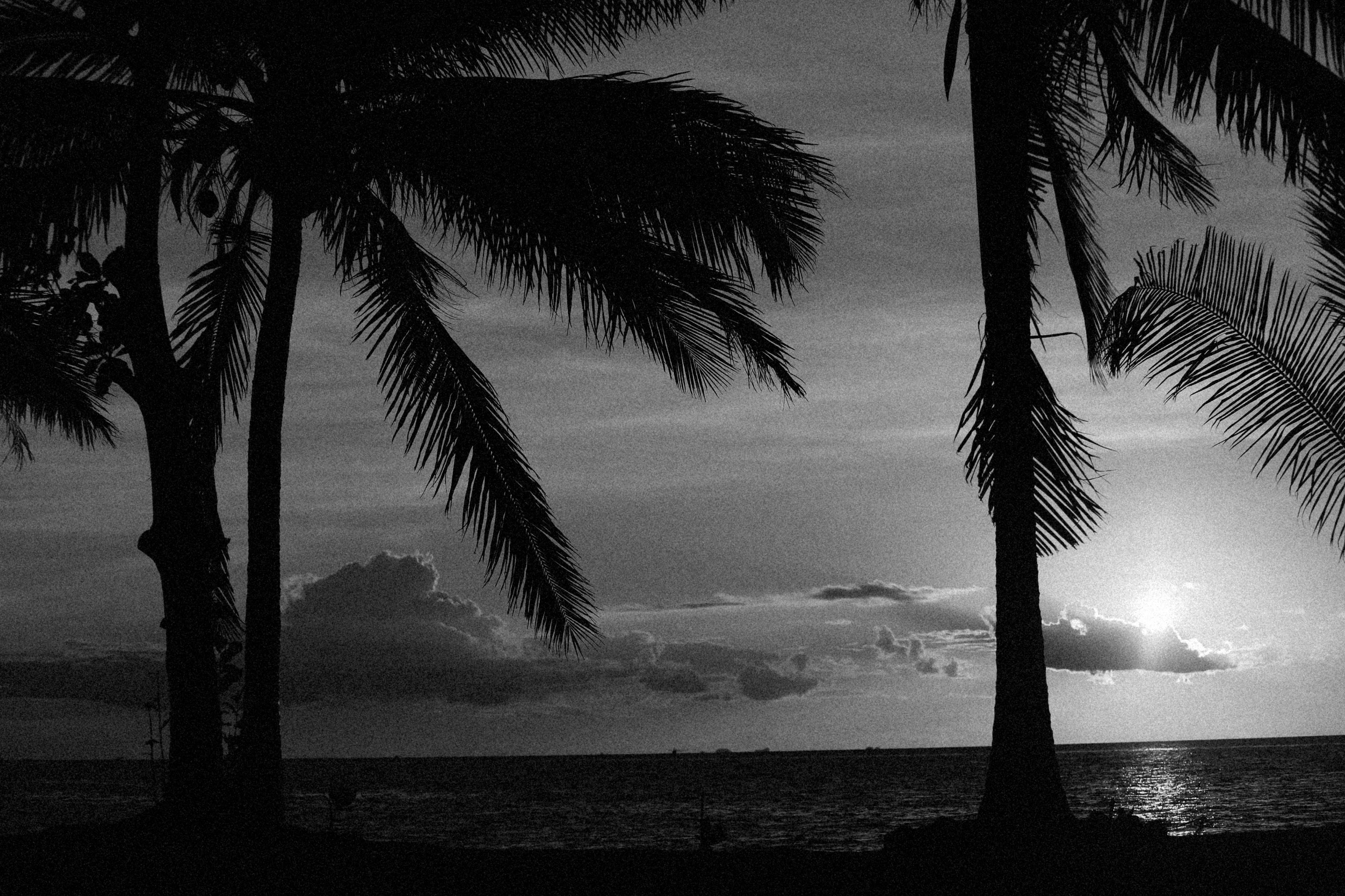 Photo by alexeydemidov