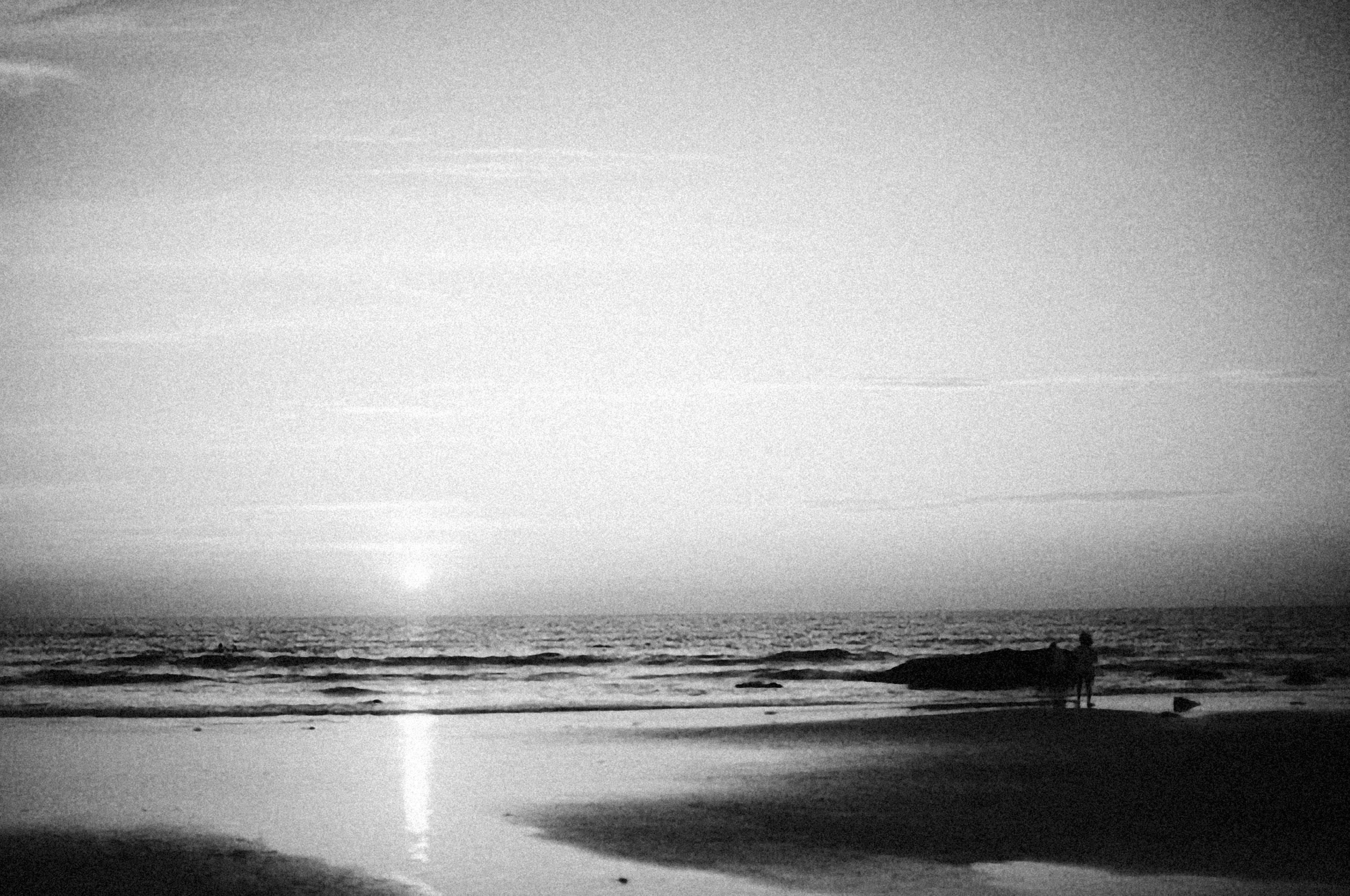 Photo by alexeydemidov