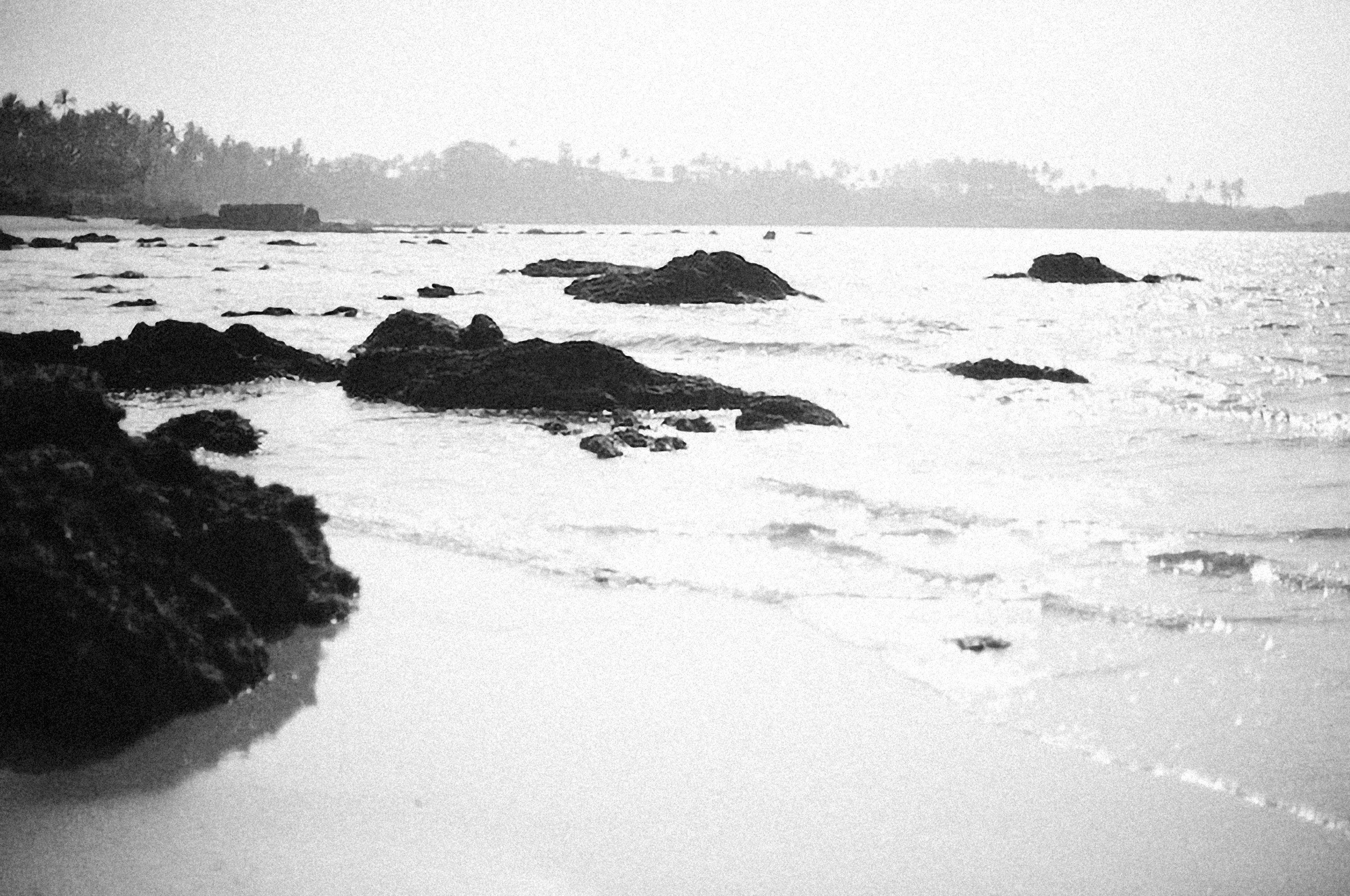 Photo by alexeydemidov