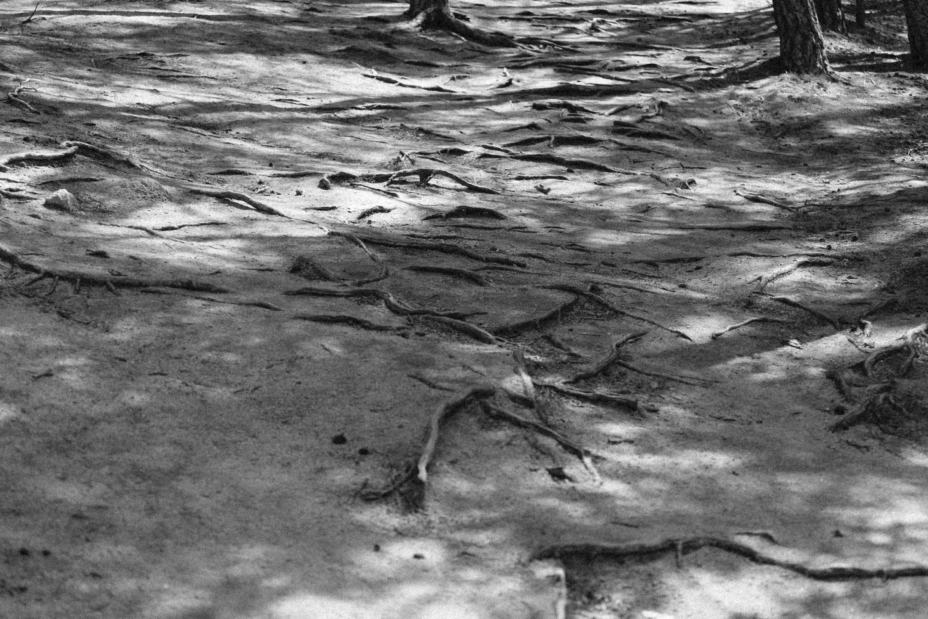 Photo by alexeydemidov