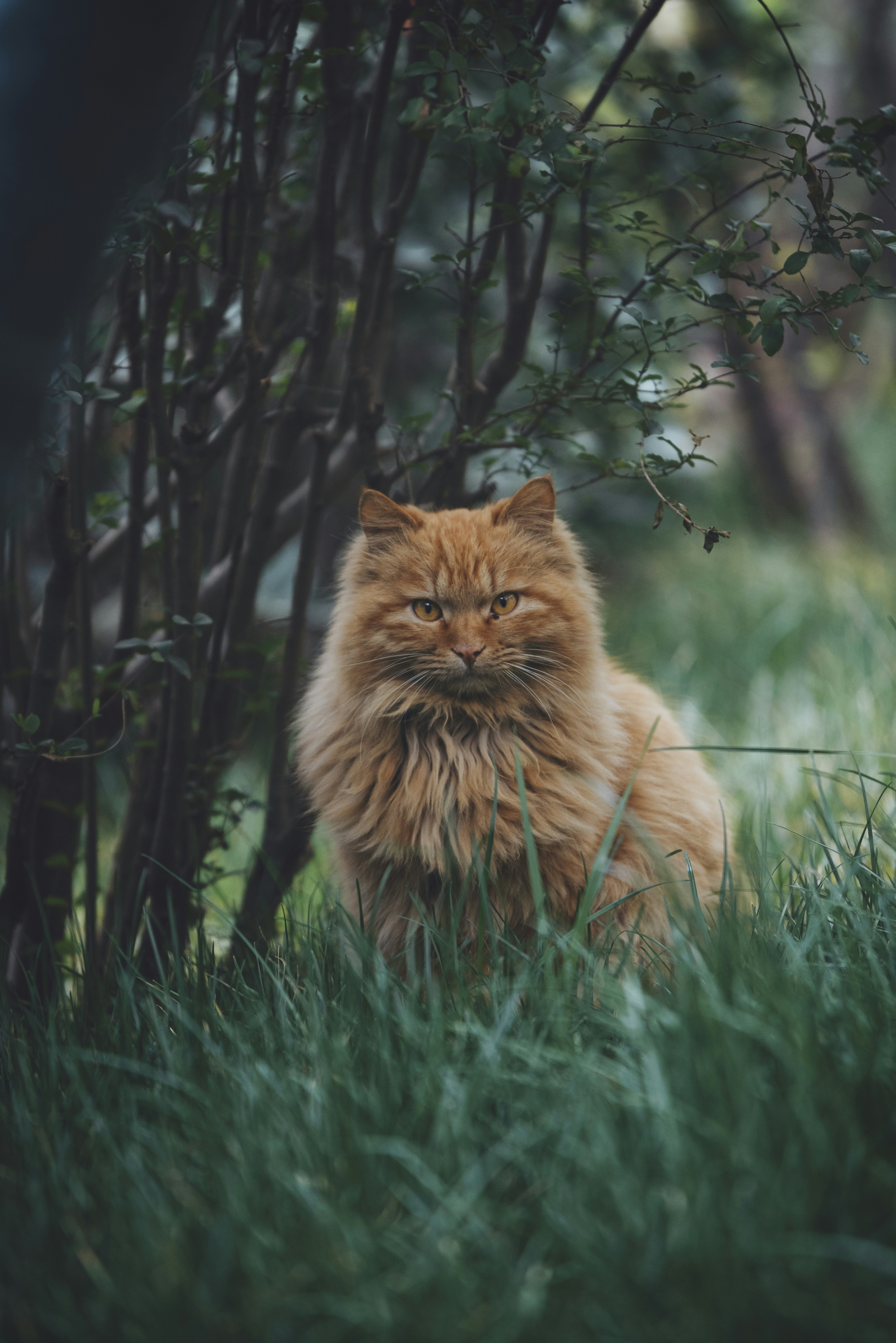 Photo by charles_snow