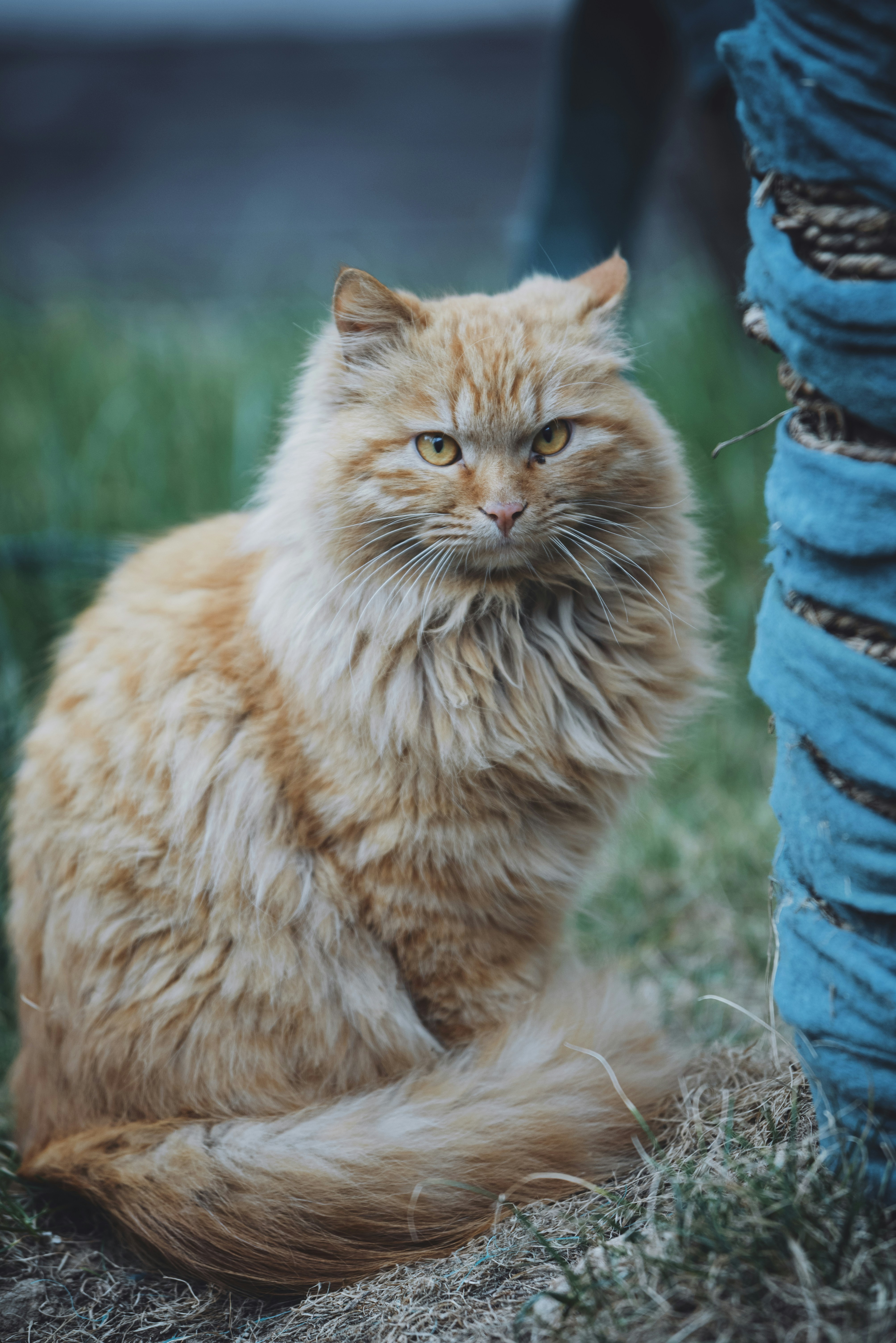 Photo by charles_snow