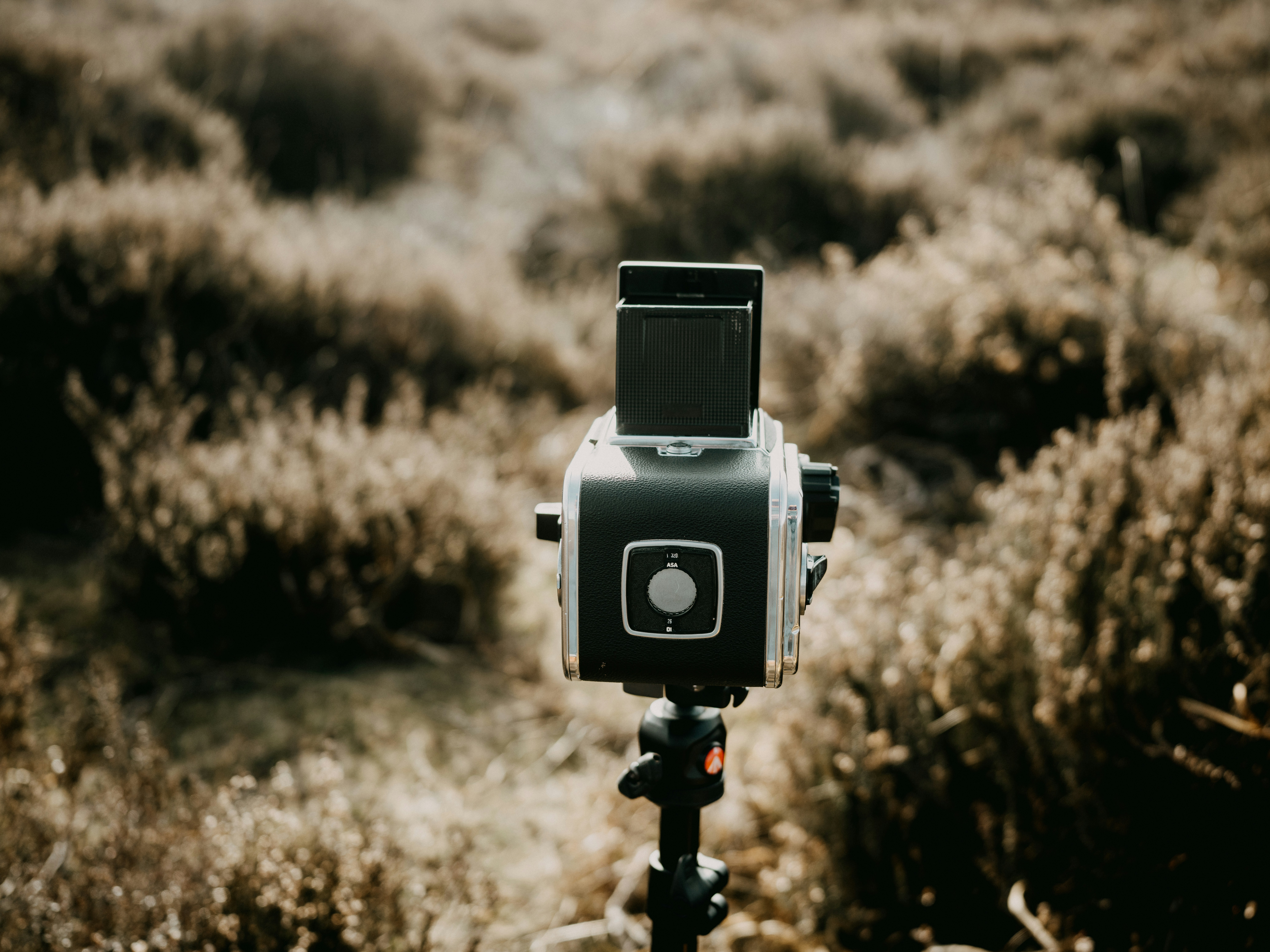 Photo by anniespratt