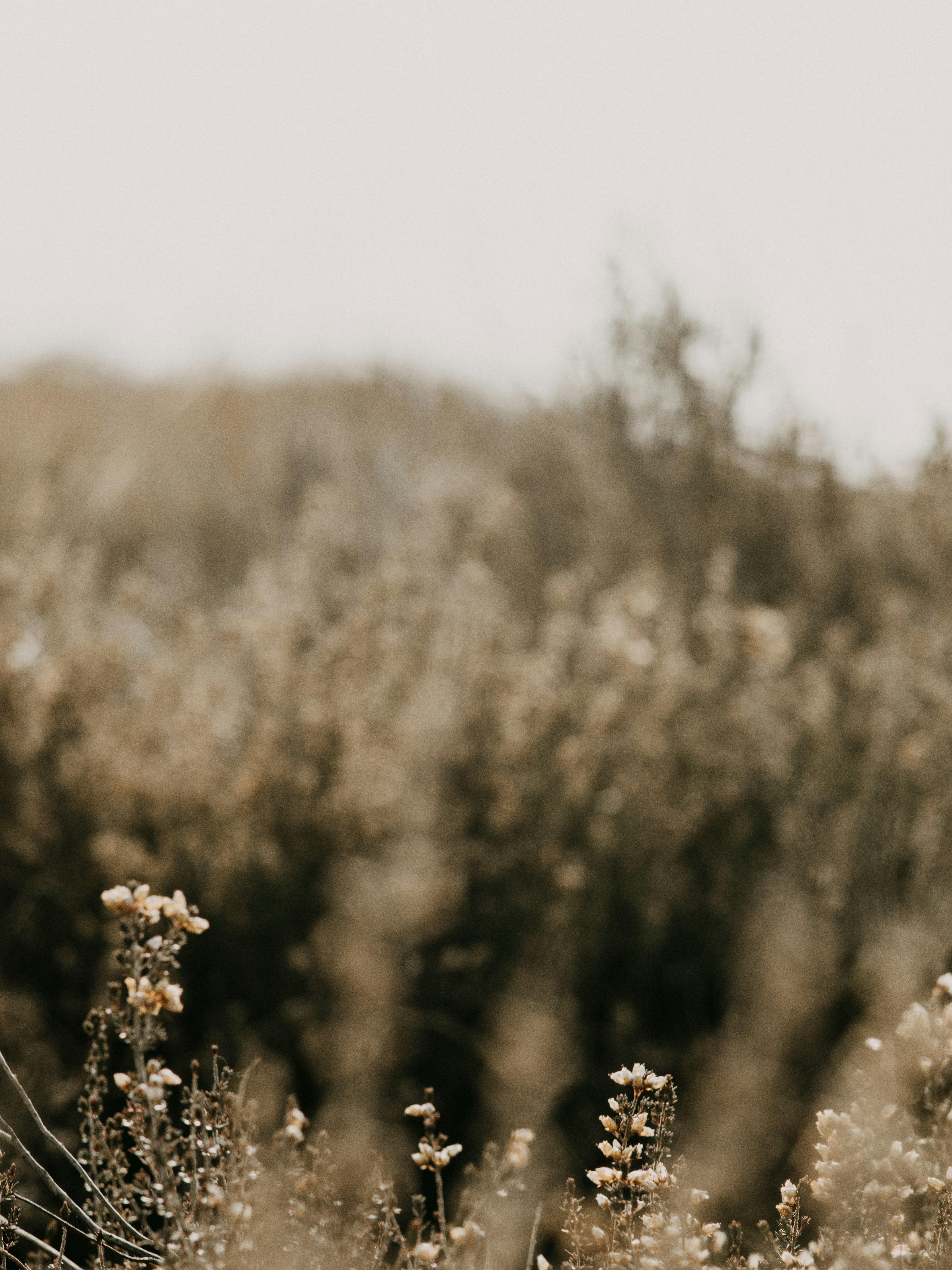 Photo by anniespratt