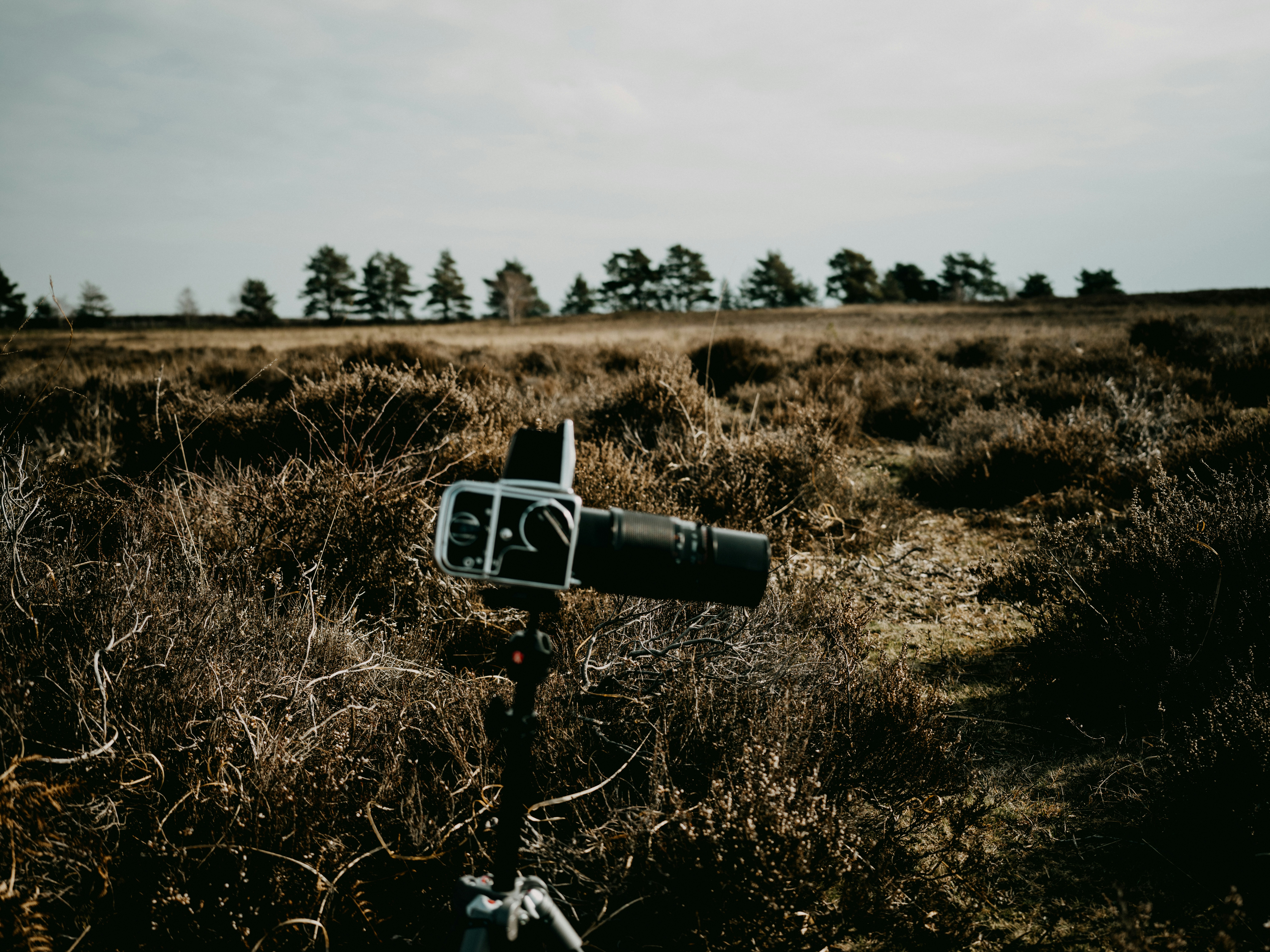 Photo by anniespratt