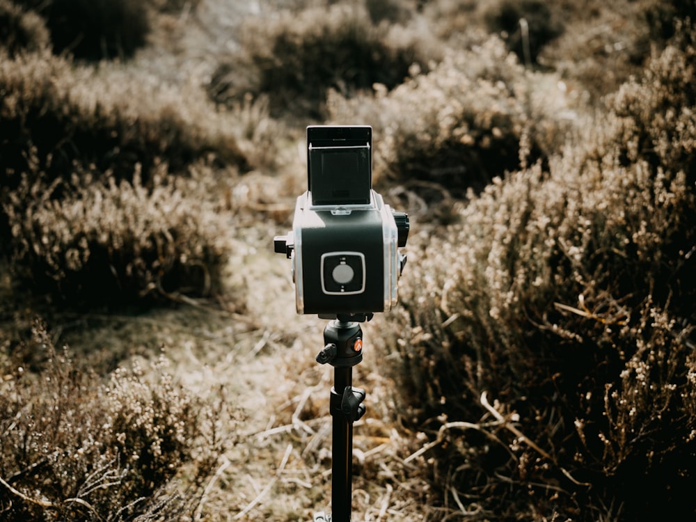 a close up of a camera on a tripod in a field