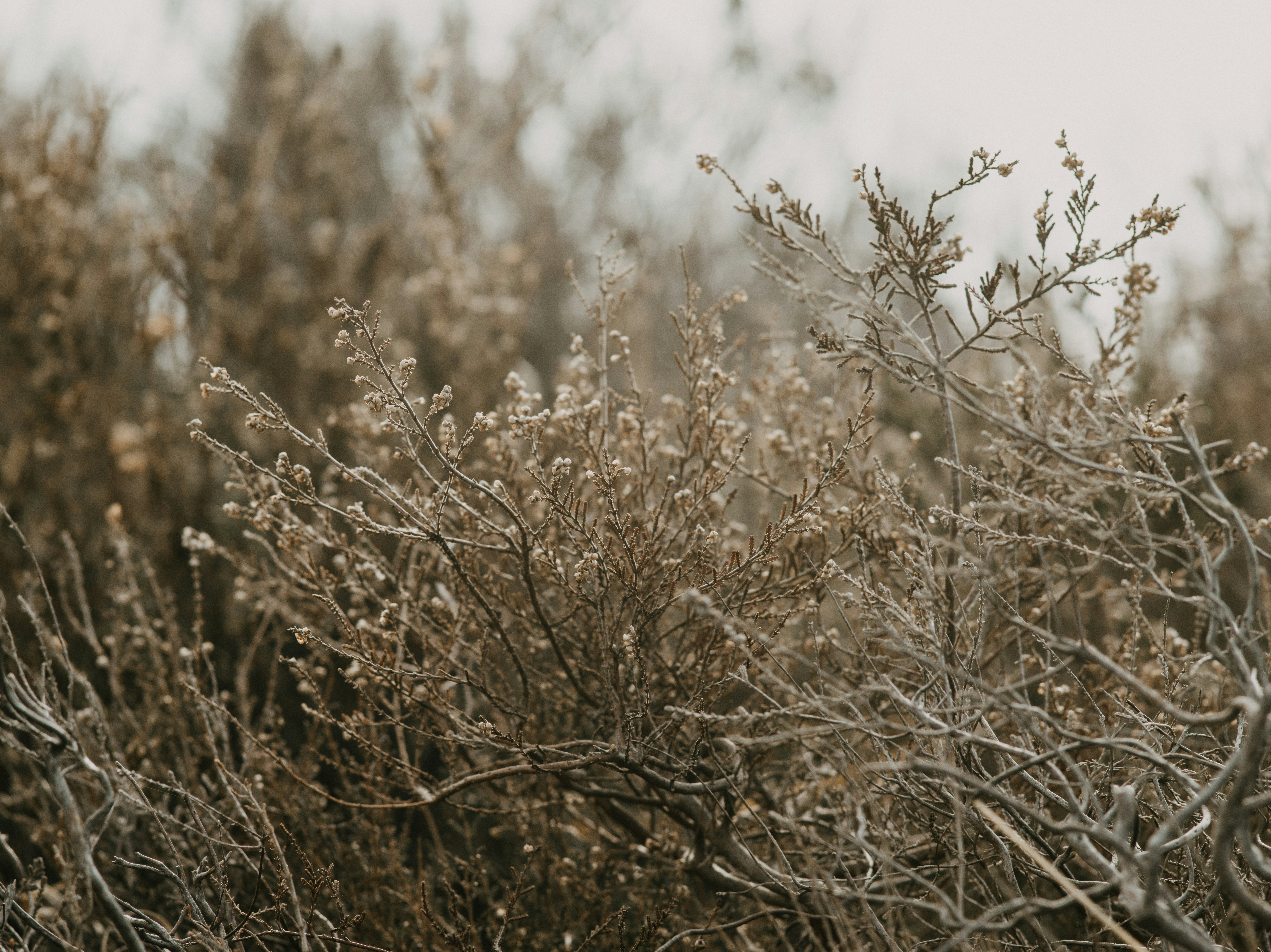 Photo by anniespratt