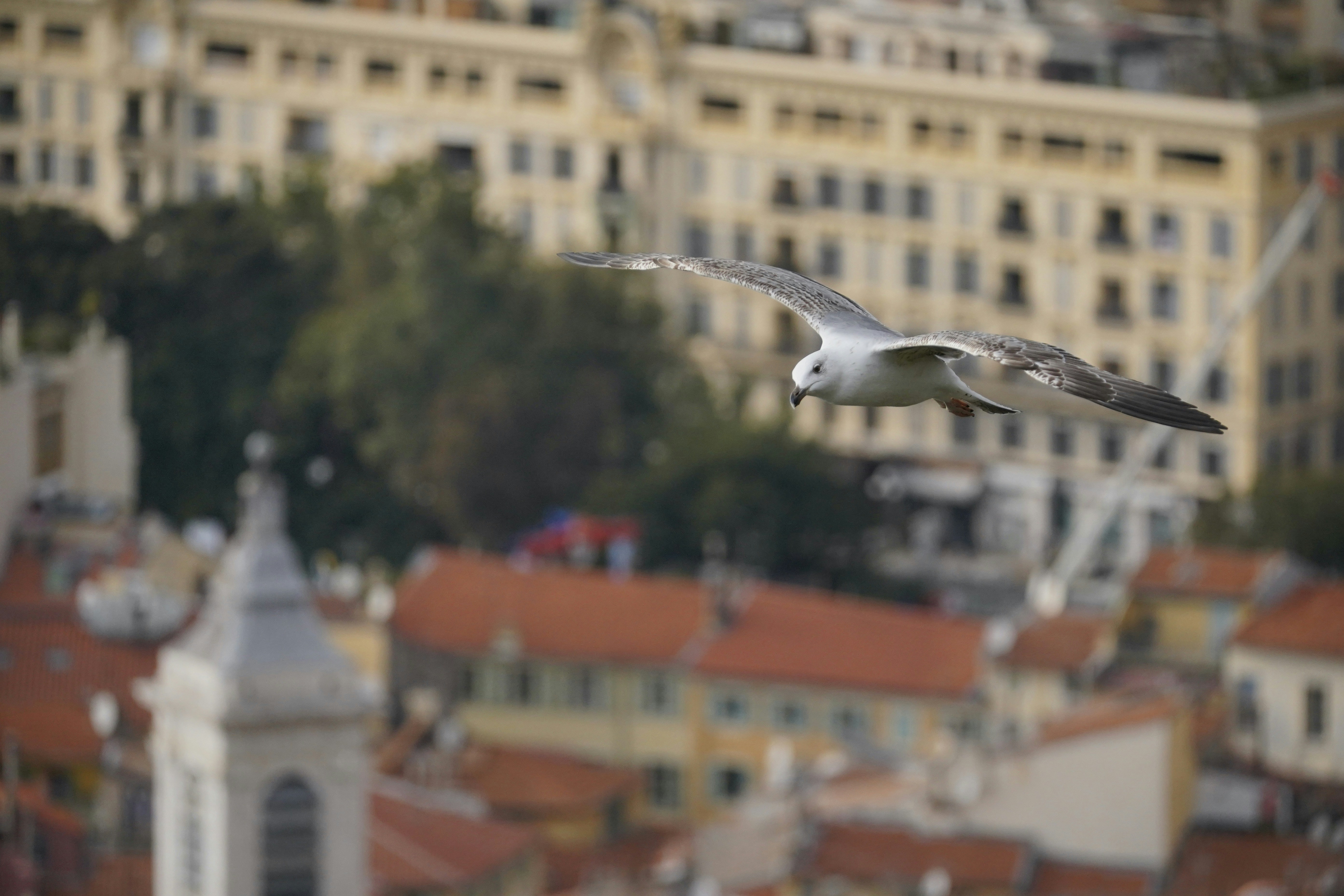 Photo by silenceontourne