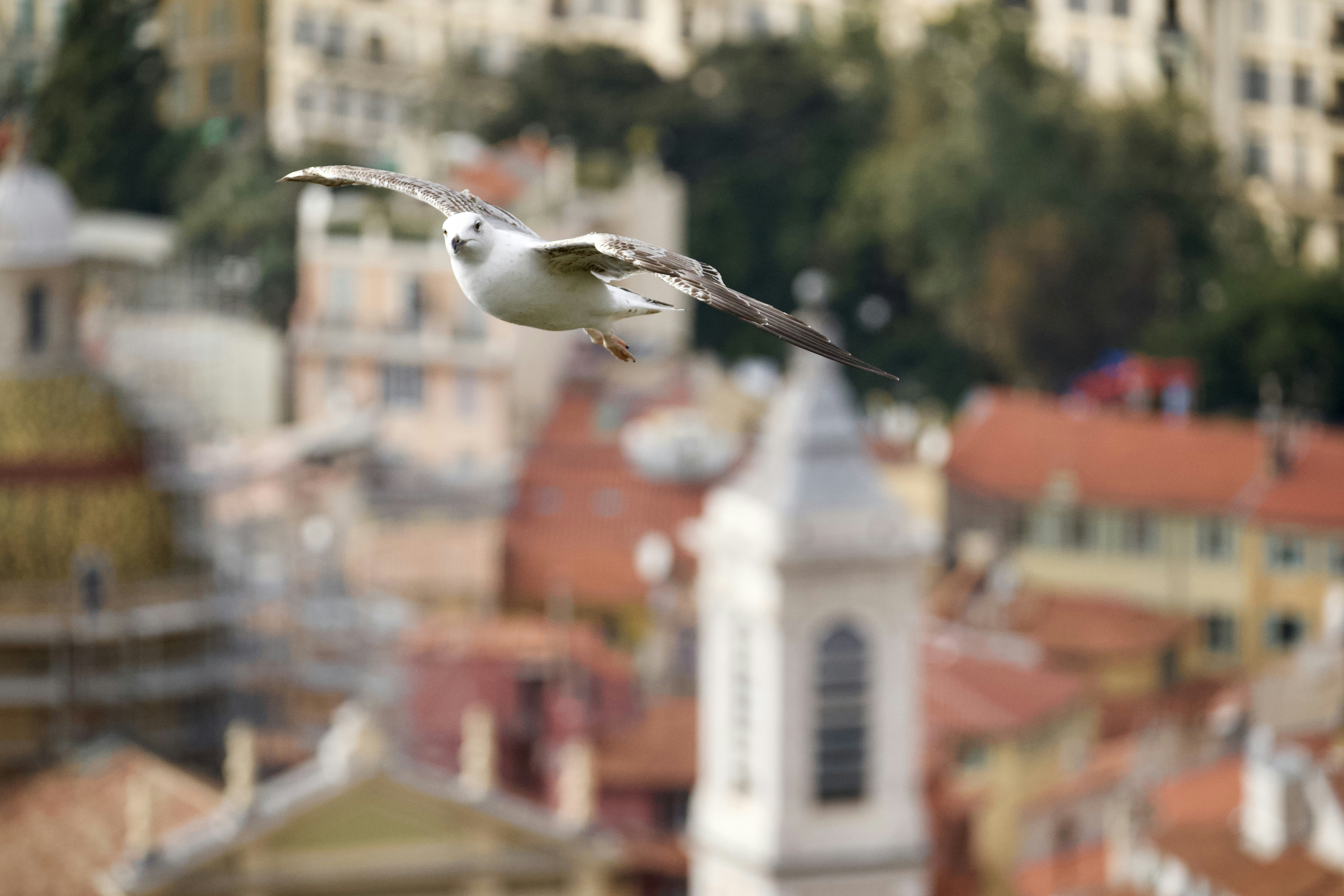 Photo by silenceontourne