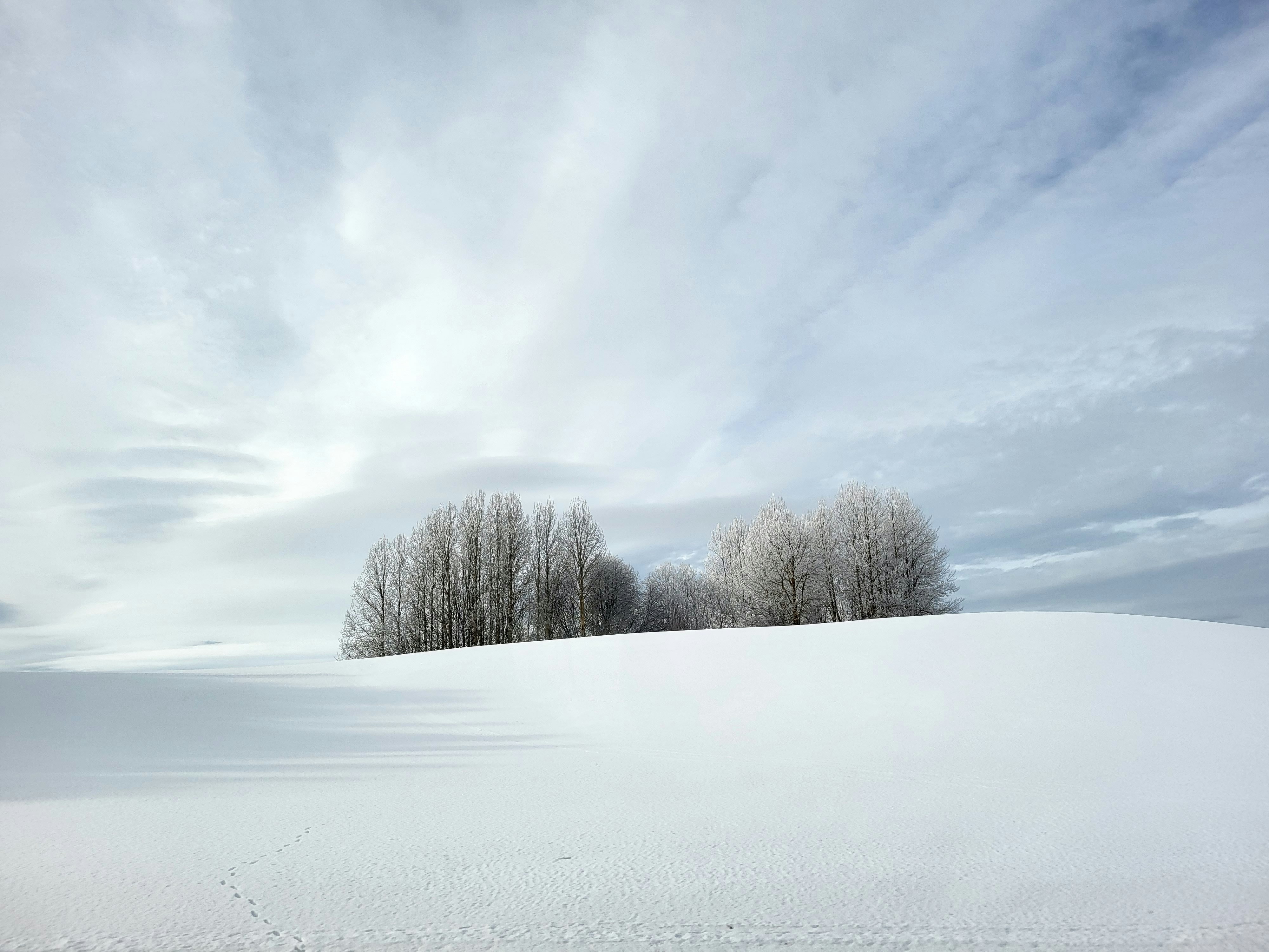 Photo by martinsweden