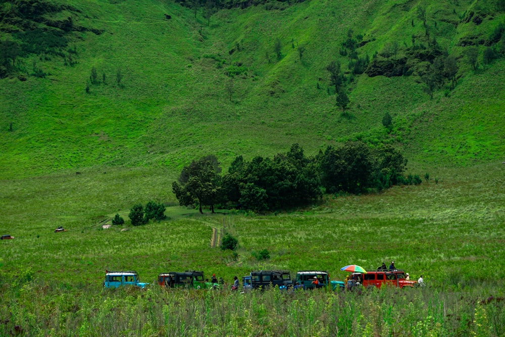 a group of cars parked on a lush green hillside