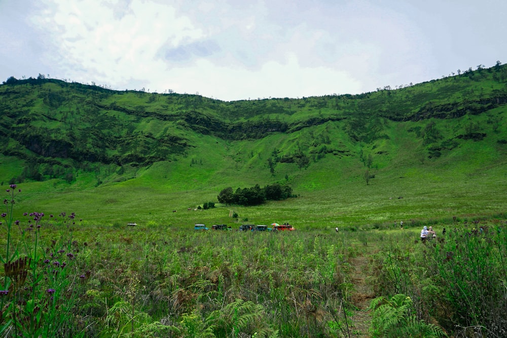 ein üppiger grüner Hügel, der mit üppigem grünem Gras bedeckt ist