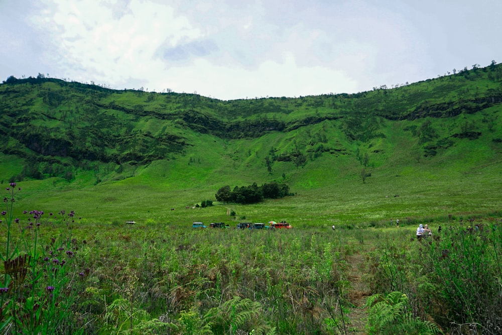 una exuberante ladera verde cubierta de exuberante hierba verde