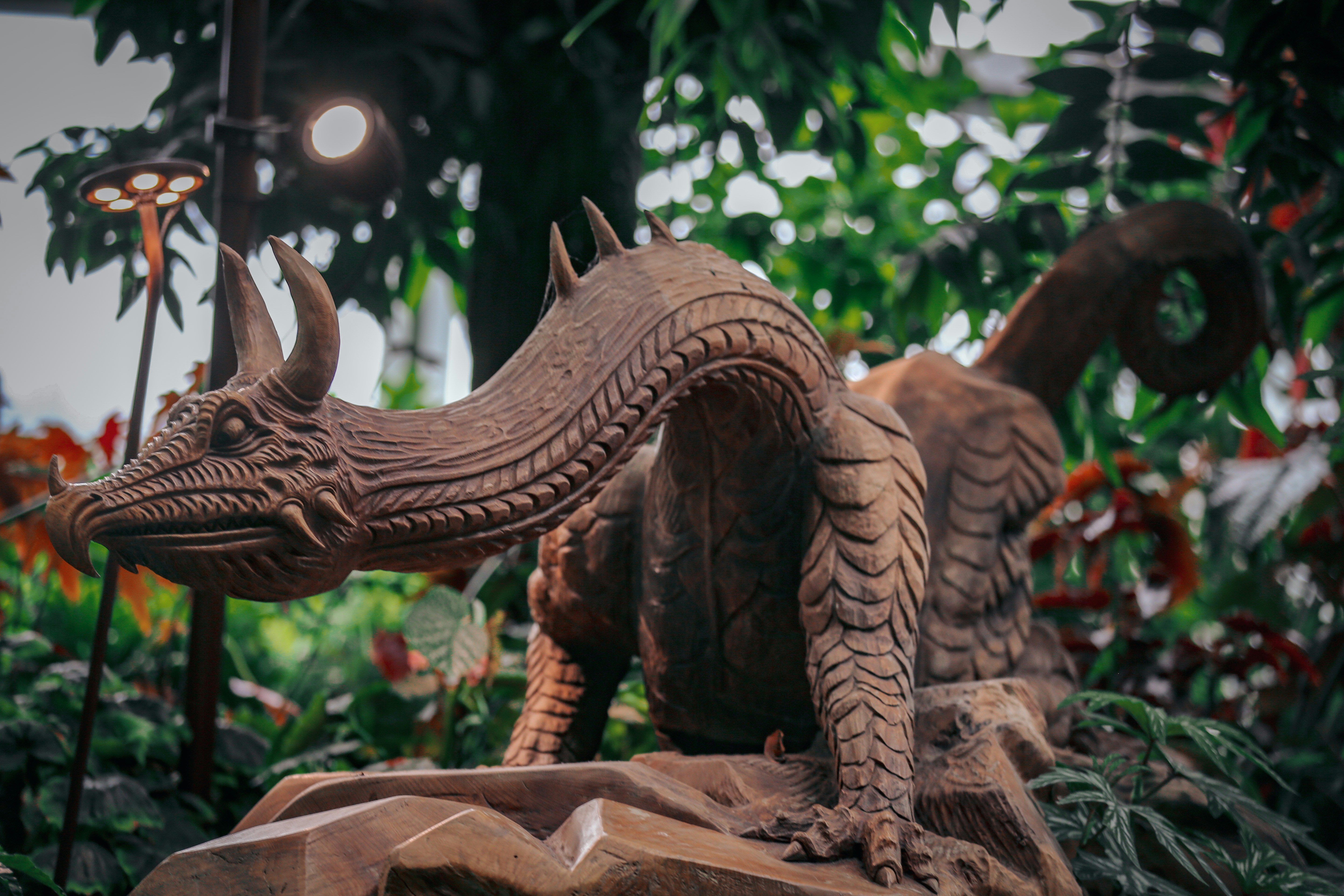 Photo by kapoorparas28