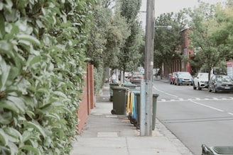 A suburban street with a sidewalk lined with tall green shrubs on the left. Several waste bins are arranged along the sidewalk. Cars are parked on the street and are driving down the road. Residential buildings with red brick facades are visible in the background. A large utility pole stands prominently along the sidewalk.