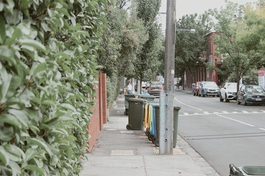 A suburban street with a sidewalk lined with tall green shrubs on the left. Several waste bins are arranged along the sidewalk. Cars are parked on the street and are driving down the road. Residential buildings with red brick facades are visible in the background. A large utility pole stands prominently along the sidewalk.