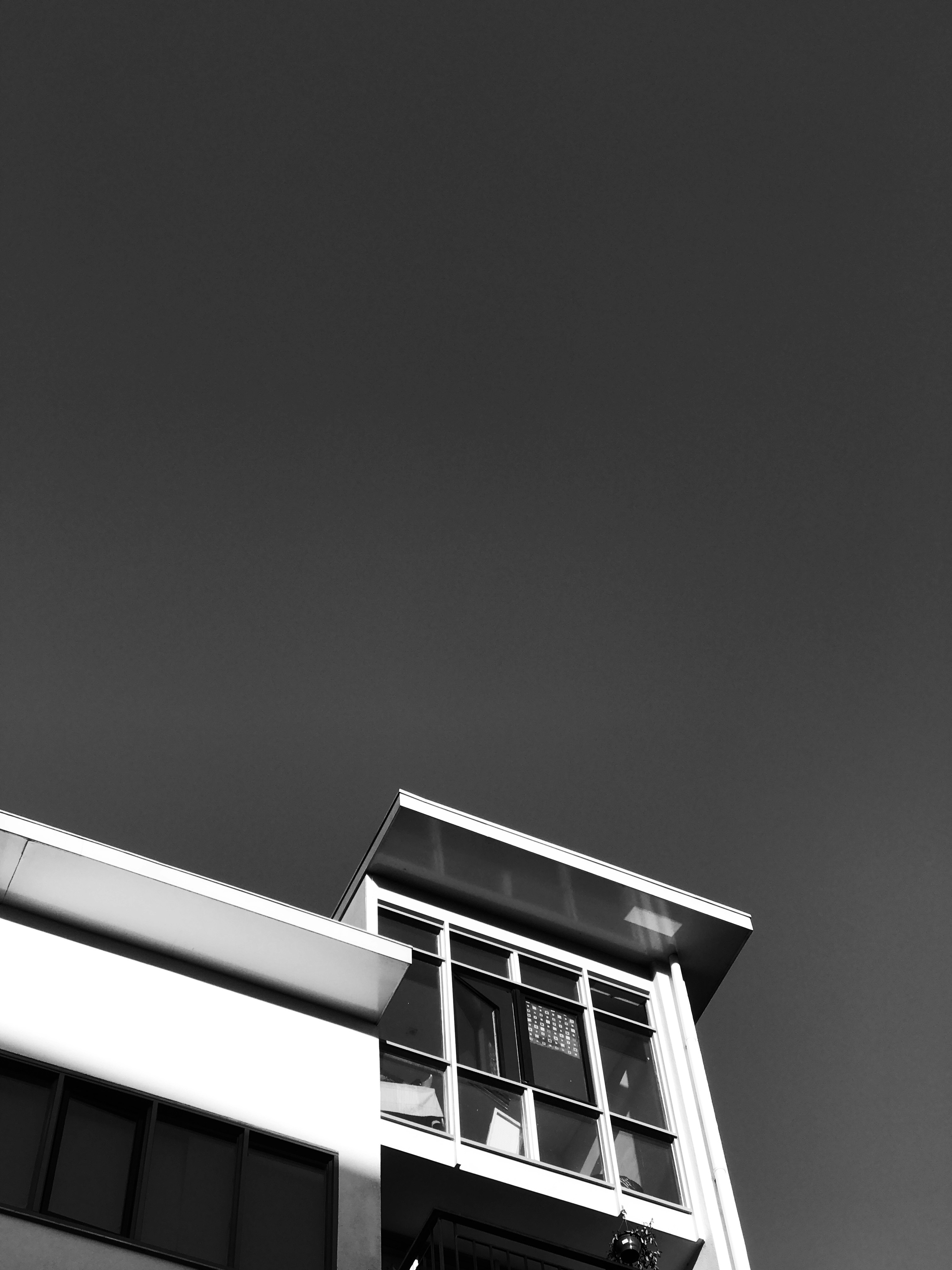 Photo by luis_de_leon