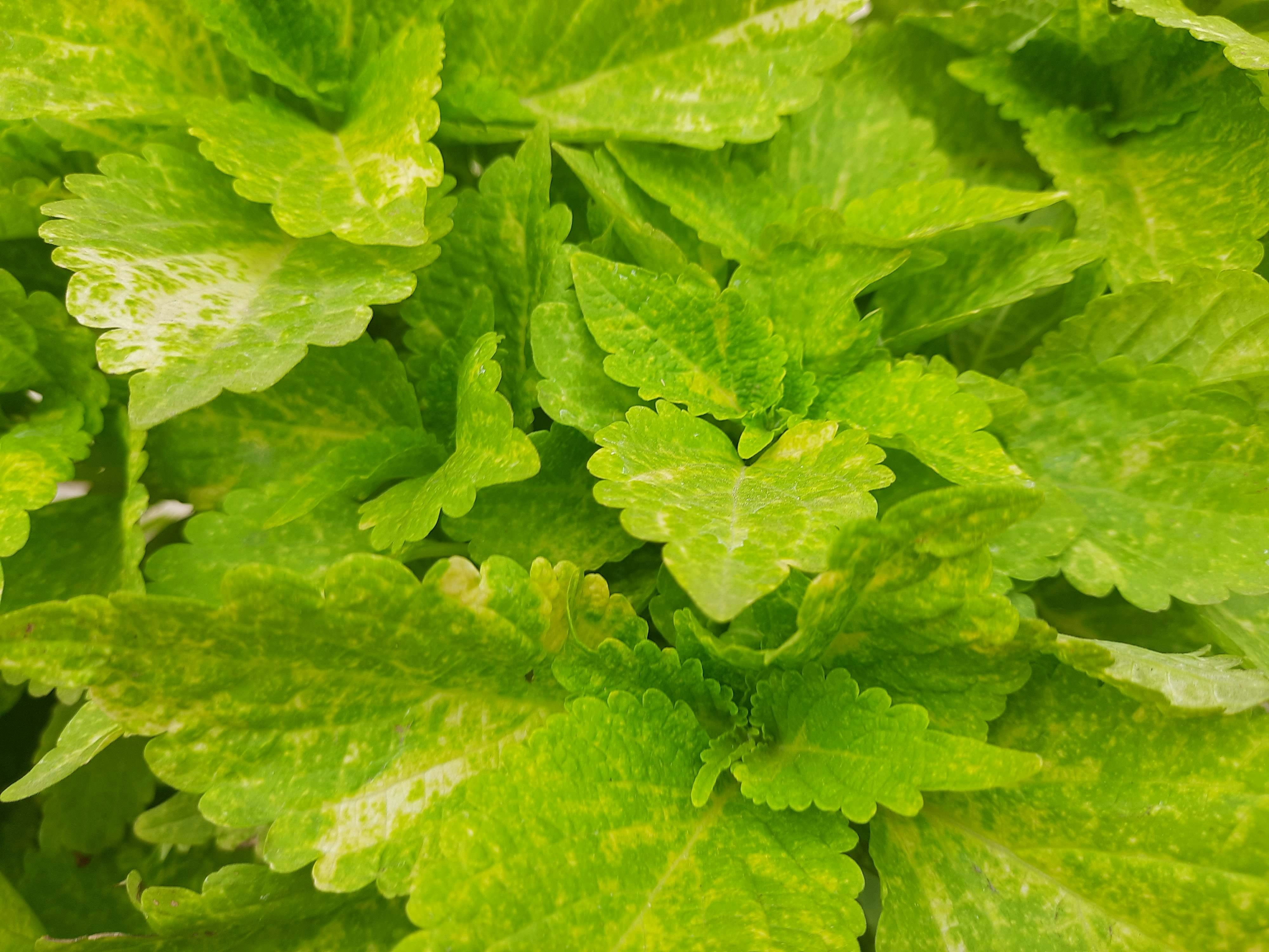 Photo by shutterbugs_3130