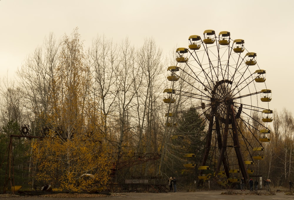 Une grande roue assise au milieu d’une forêt