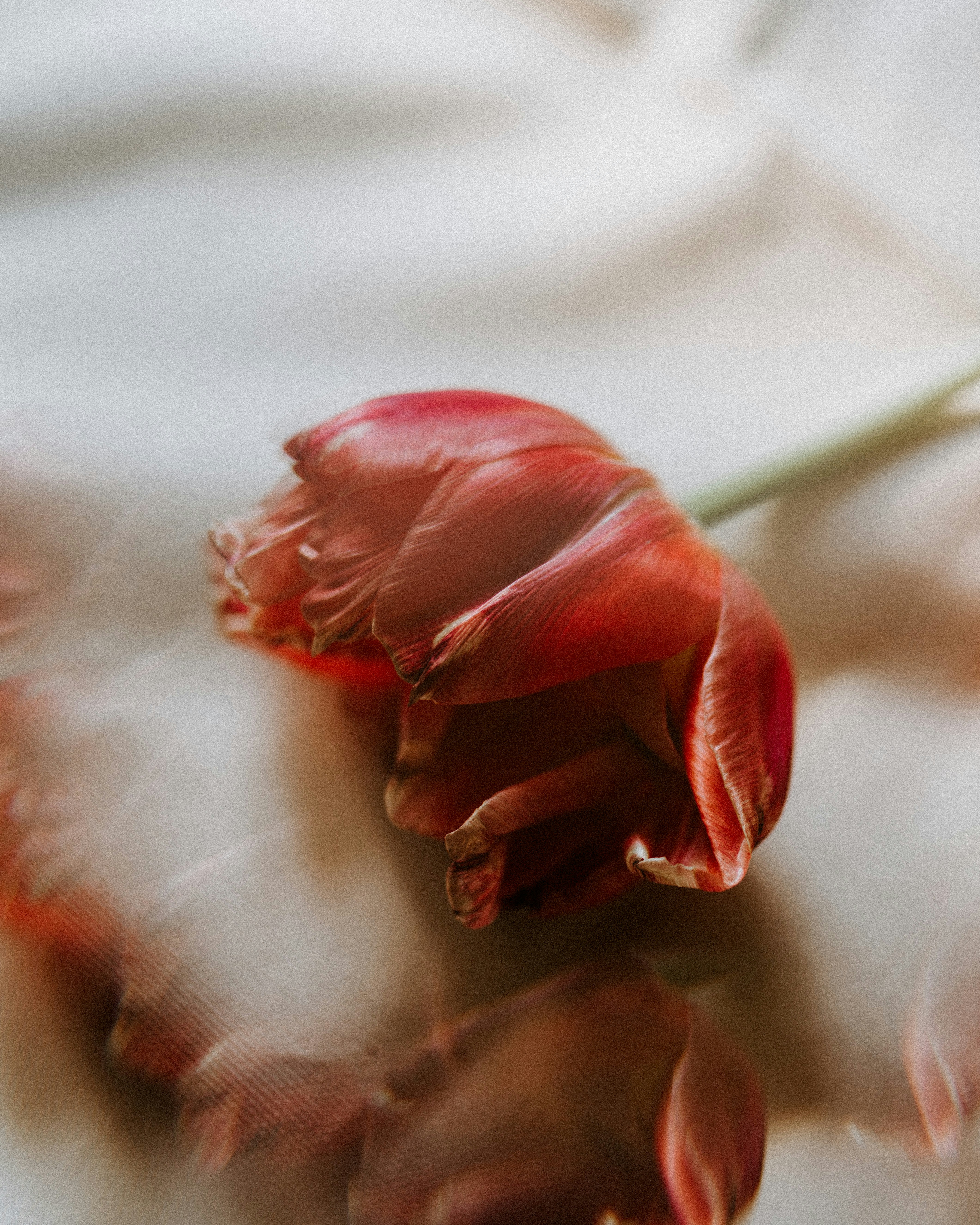 Photo by cate_brodersen