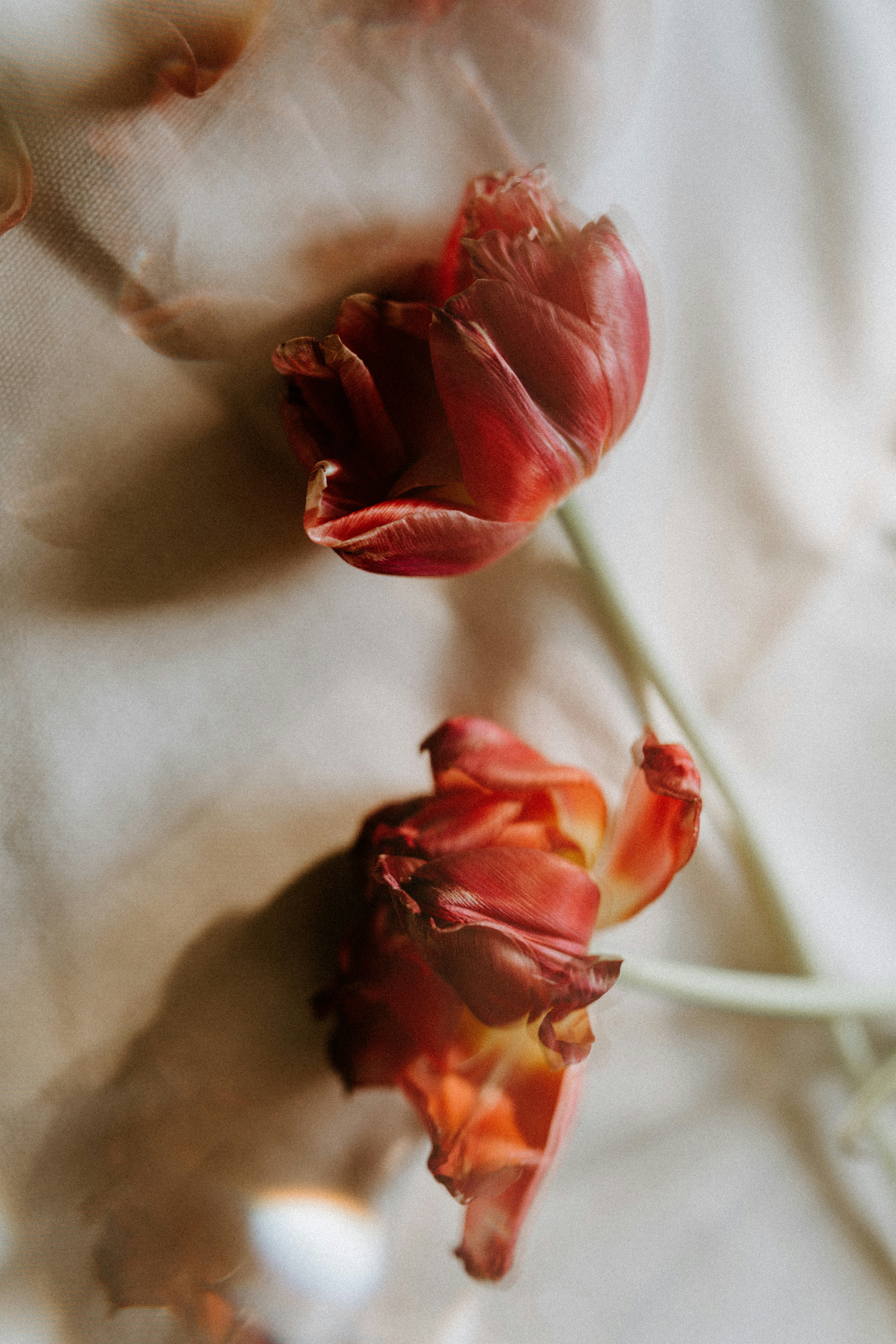 Photo by cate_brodersen