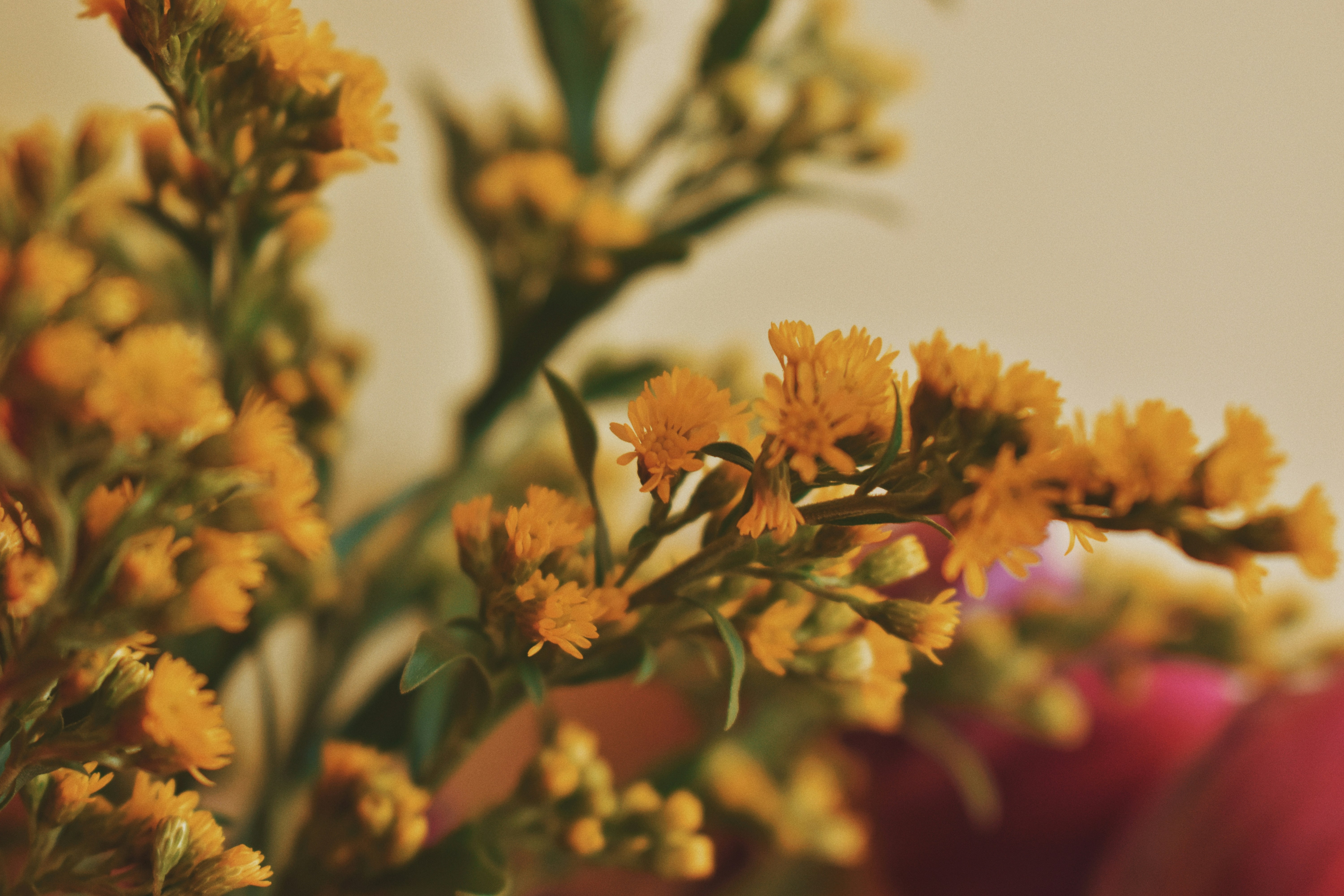 Photo by fatapedigital