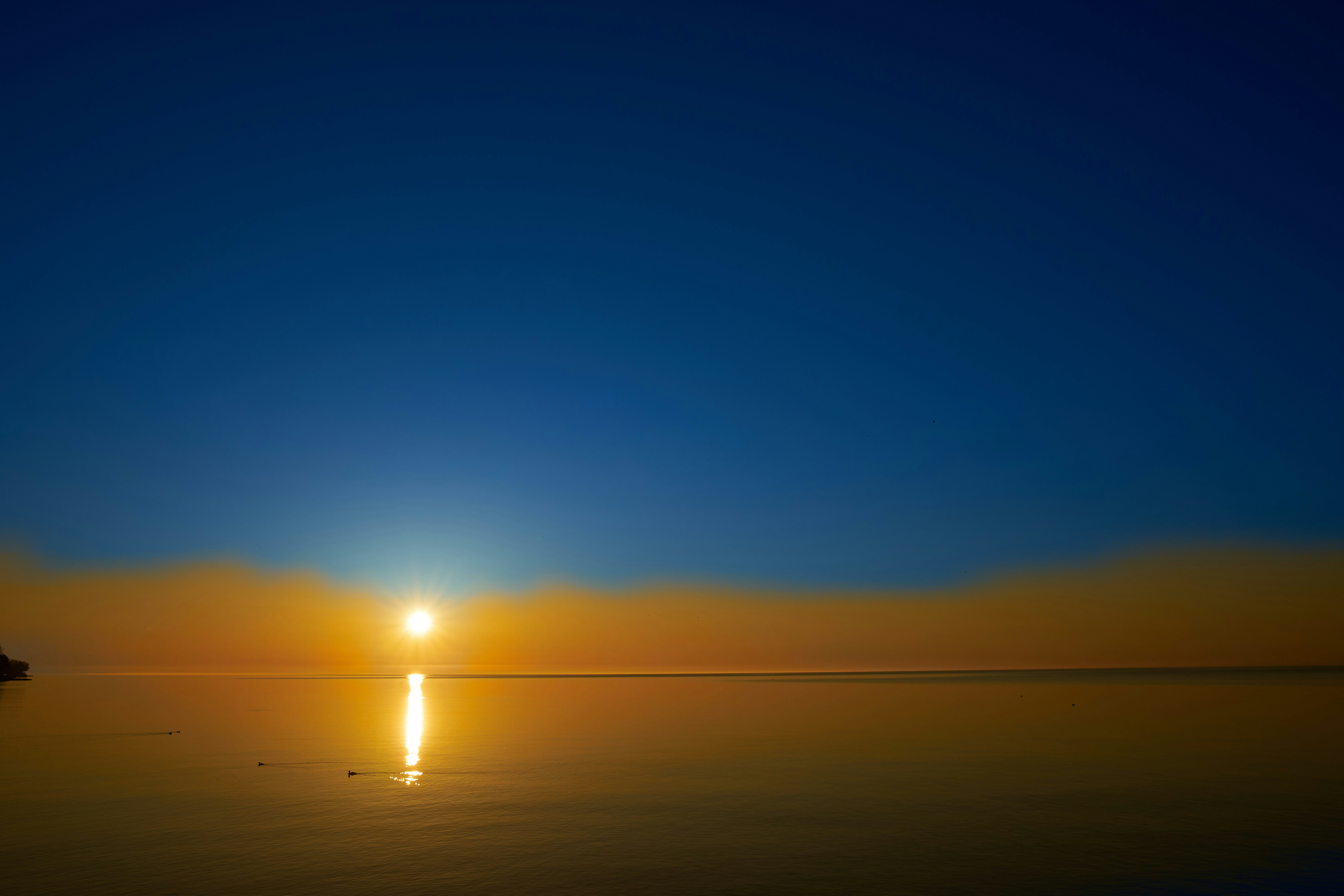 Photo by wolfgang_hasselmann