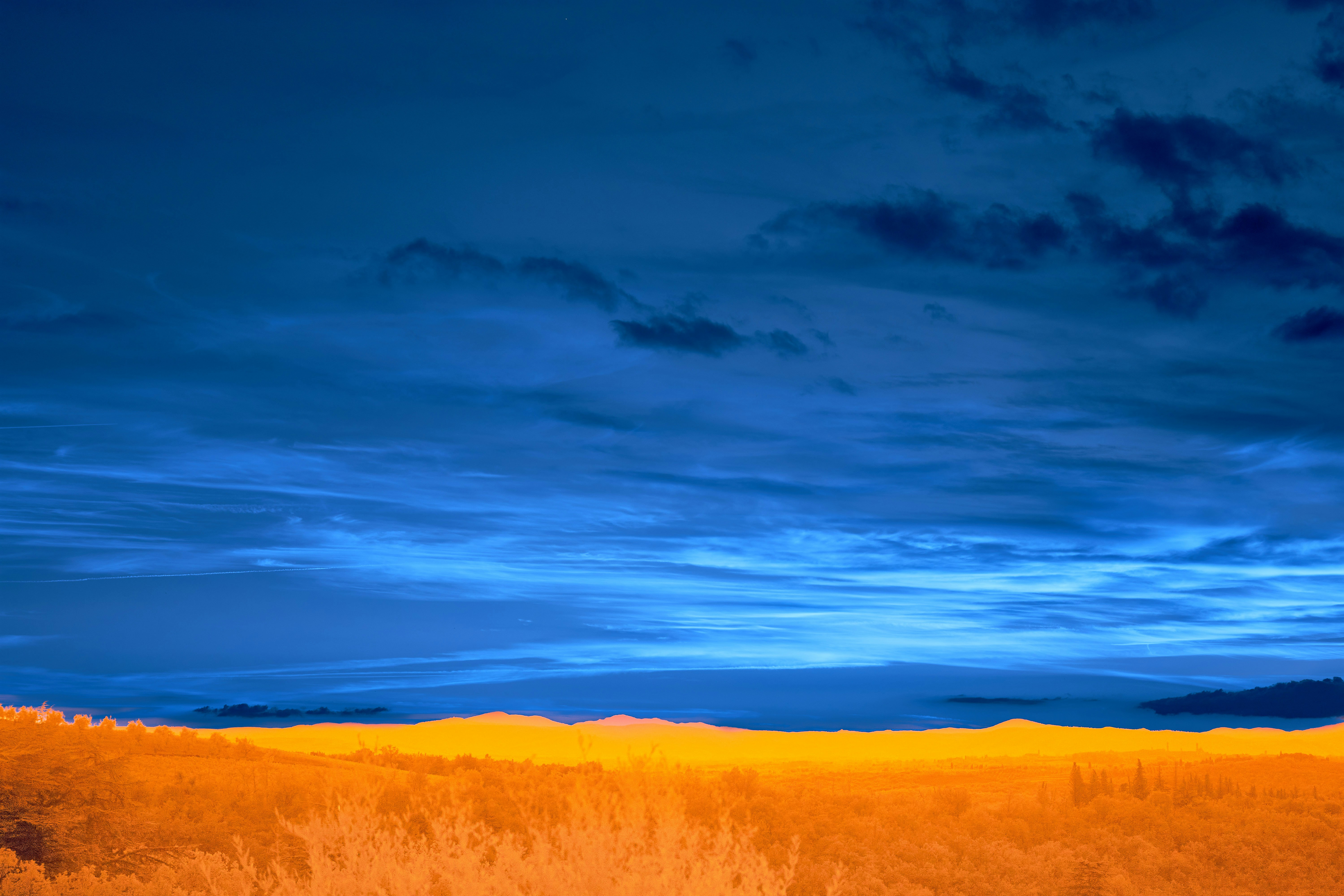 Photo by wolfgang_hasselmann