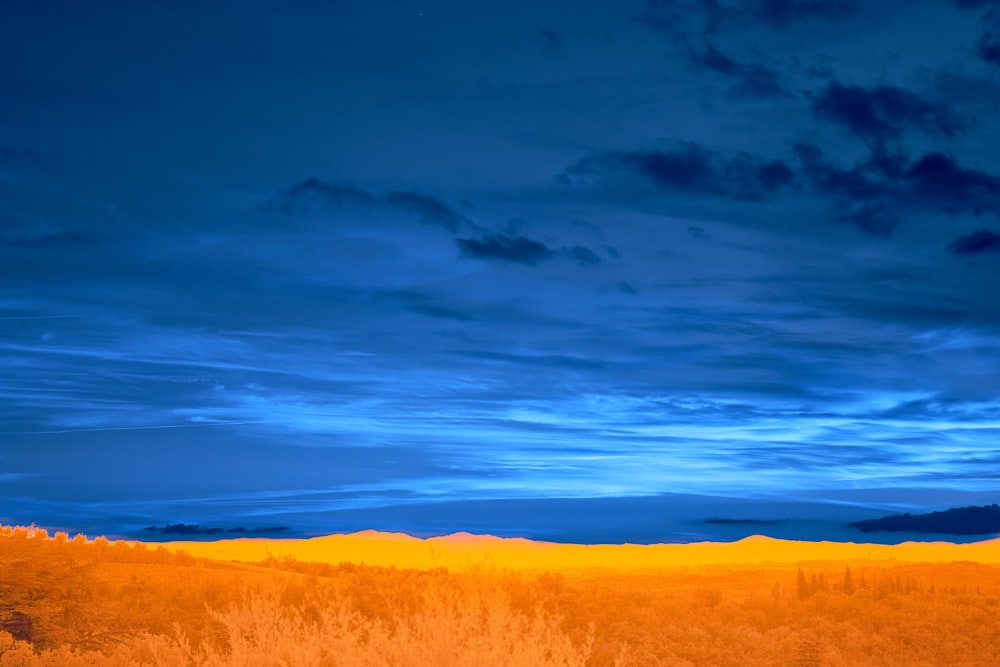 a field with a blue sky in the background