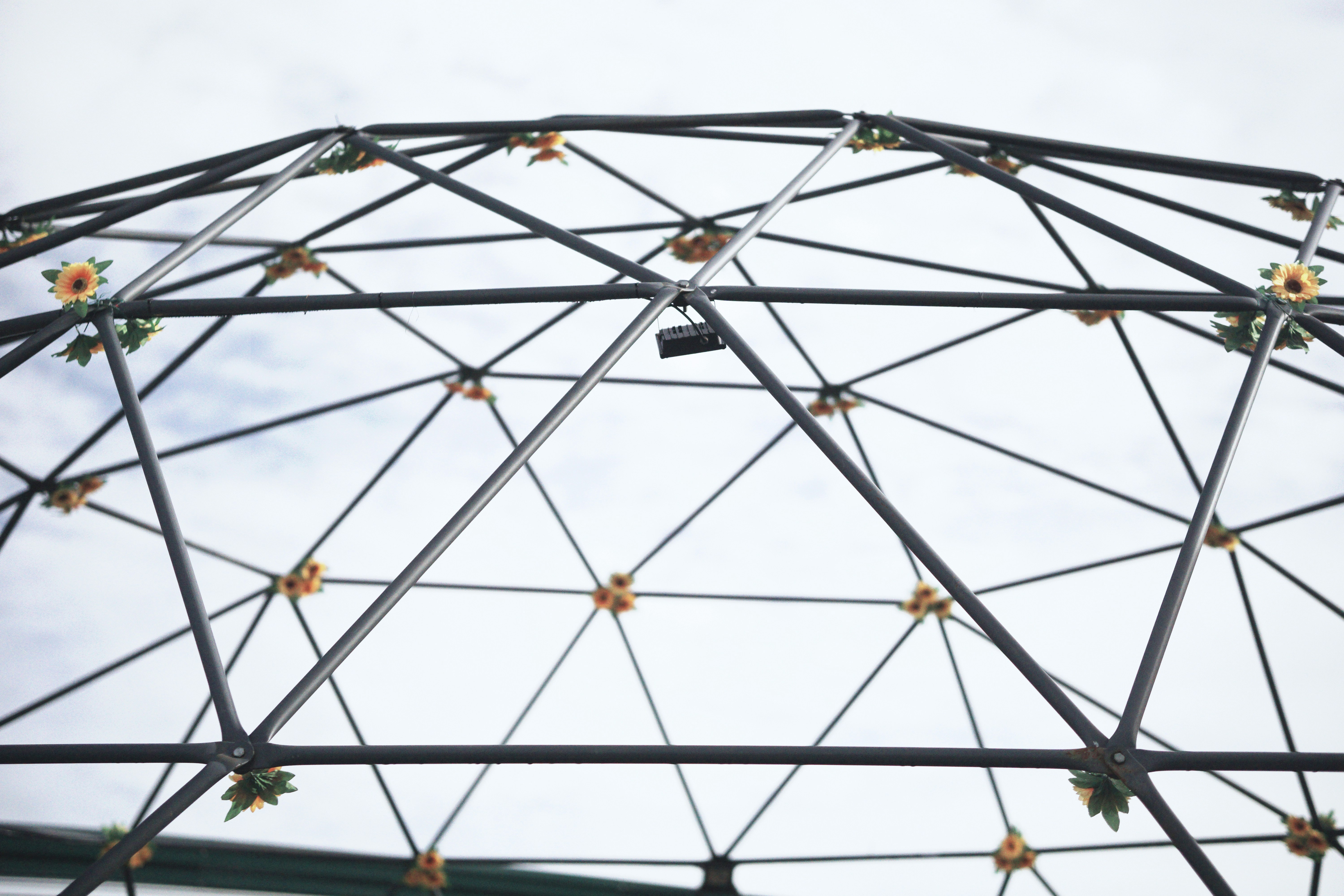 Defining the Perfect Pizza: A Regional Breakdown