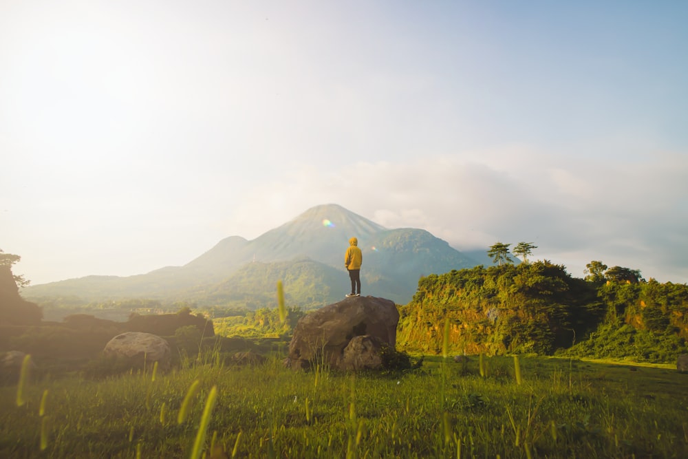 a man standing on top of a rock in a field