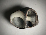 Colorful 3D scan of a natural object, capturing organic shapes and patterns