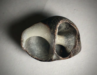 Point cloud visualization of an organic-shaped object being scanned.