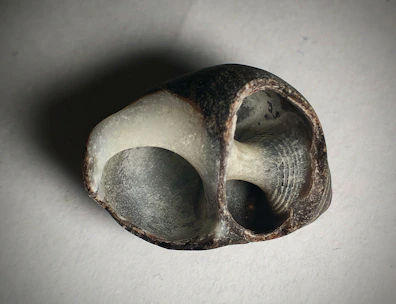 Point cloud visualization of an organic-shaped object being scanned.