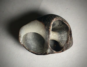 Colorful 3D scan of a natural object, capturing organic shapes and patterns