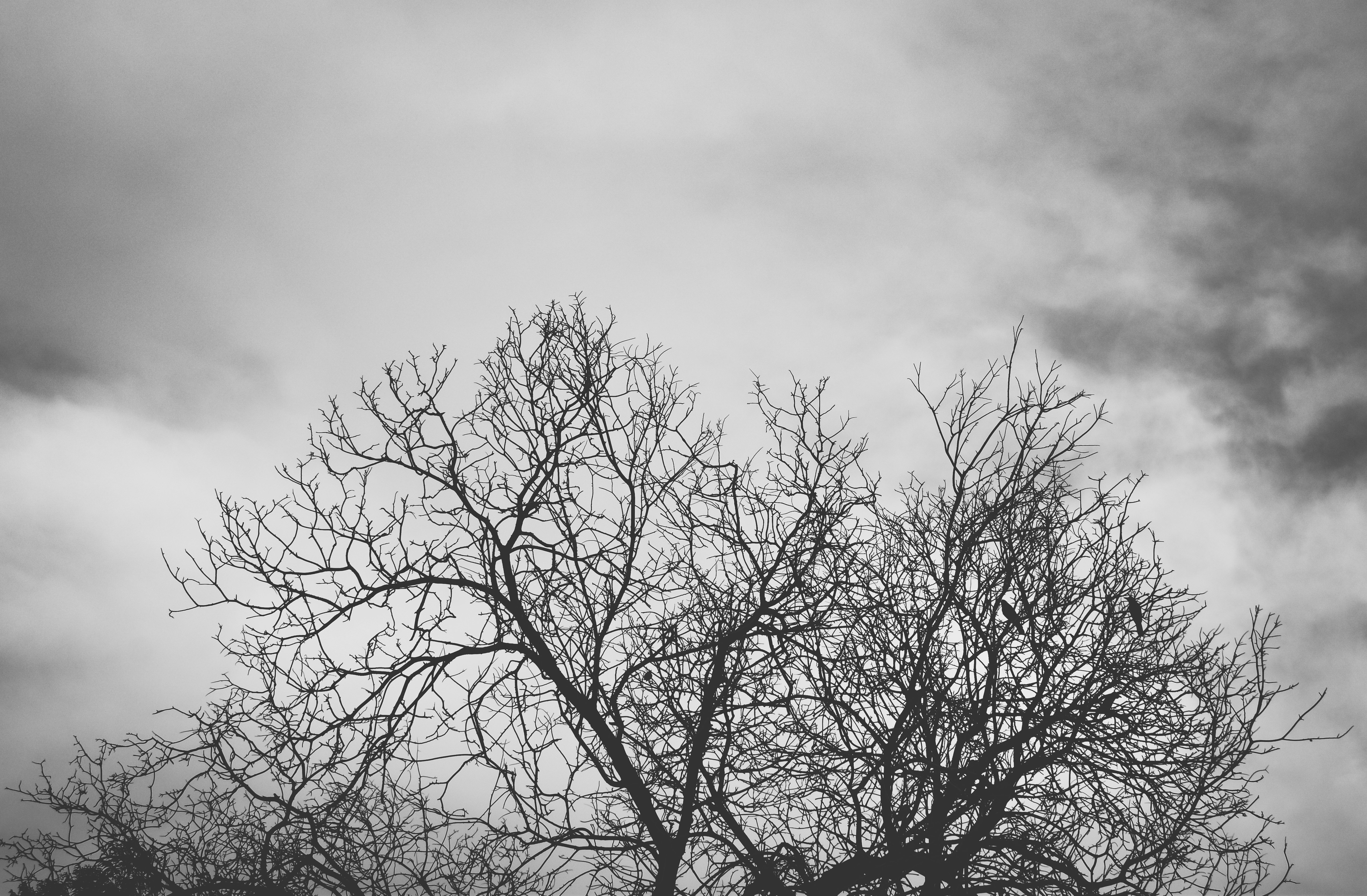 Photo by zohaibusman