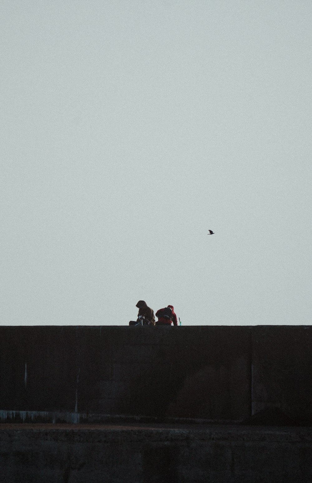 a couple of people sitting on top of a wall