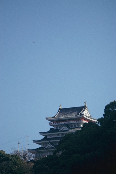 a tall building sitting on top of a lush green hillside