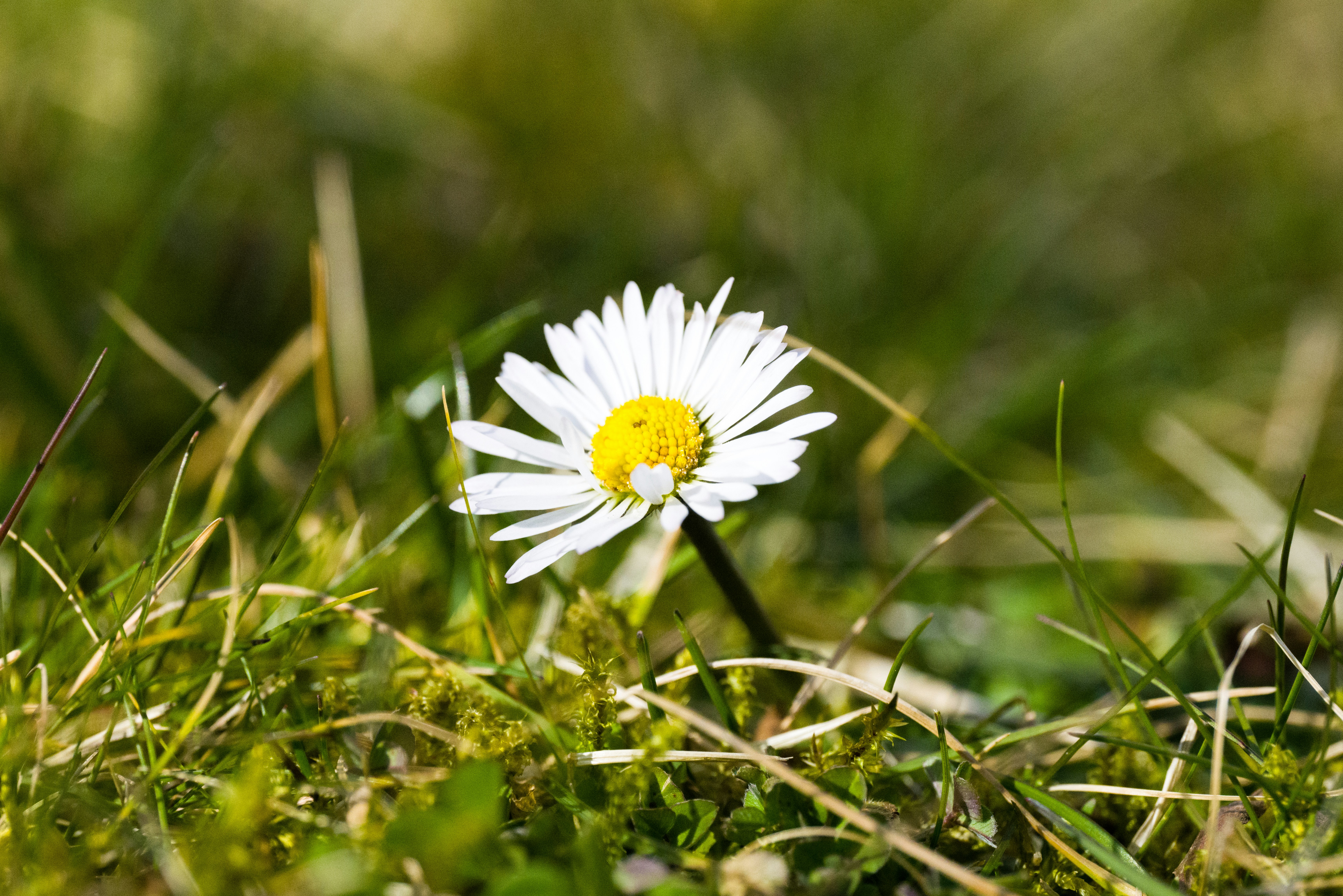 Photo by georgeiermann