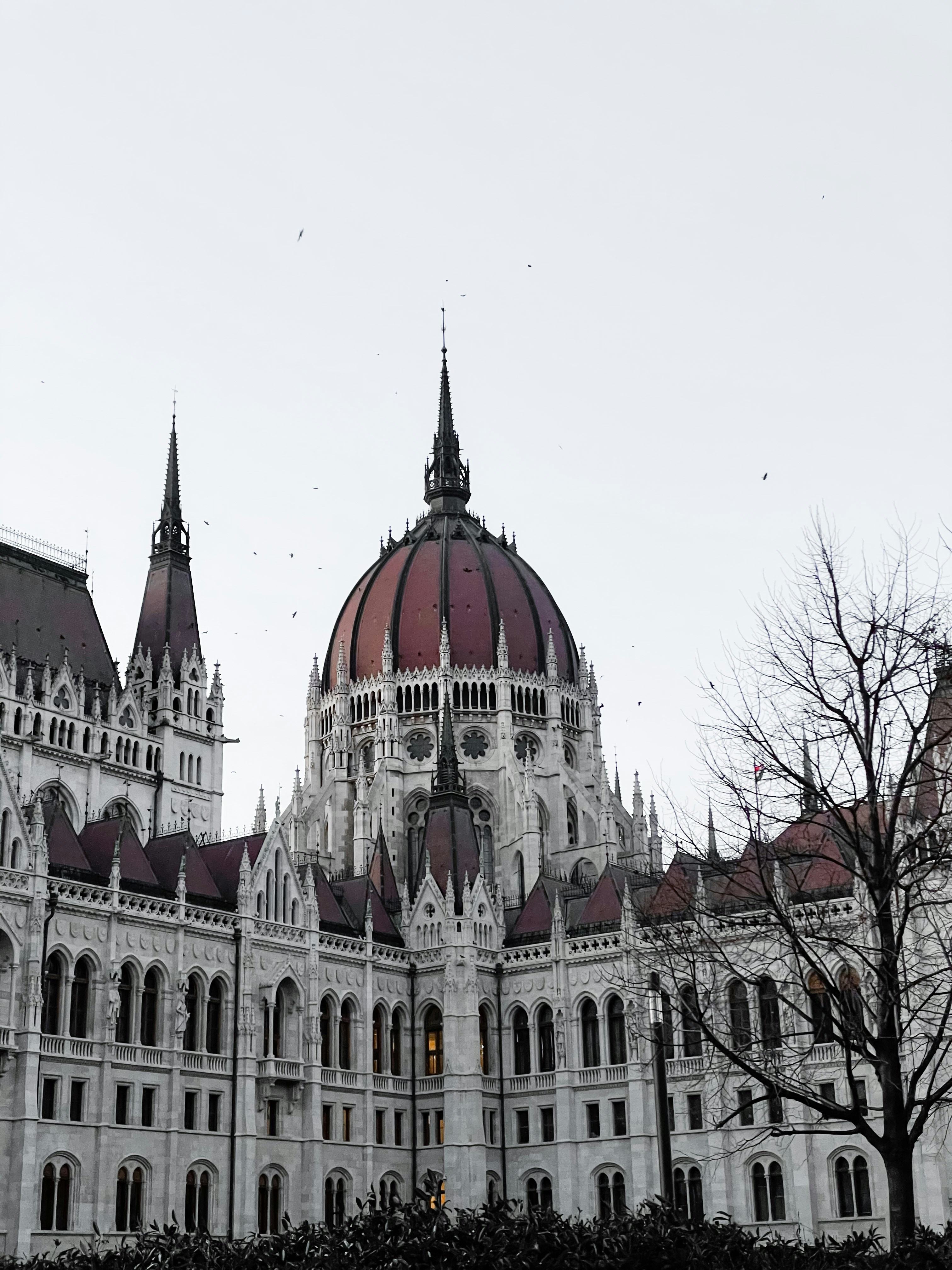 Photo by levaimarton