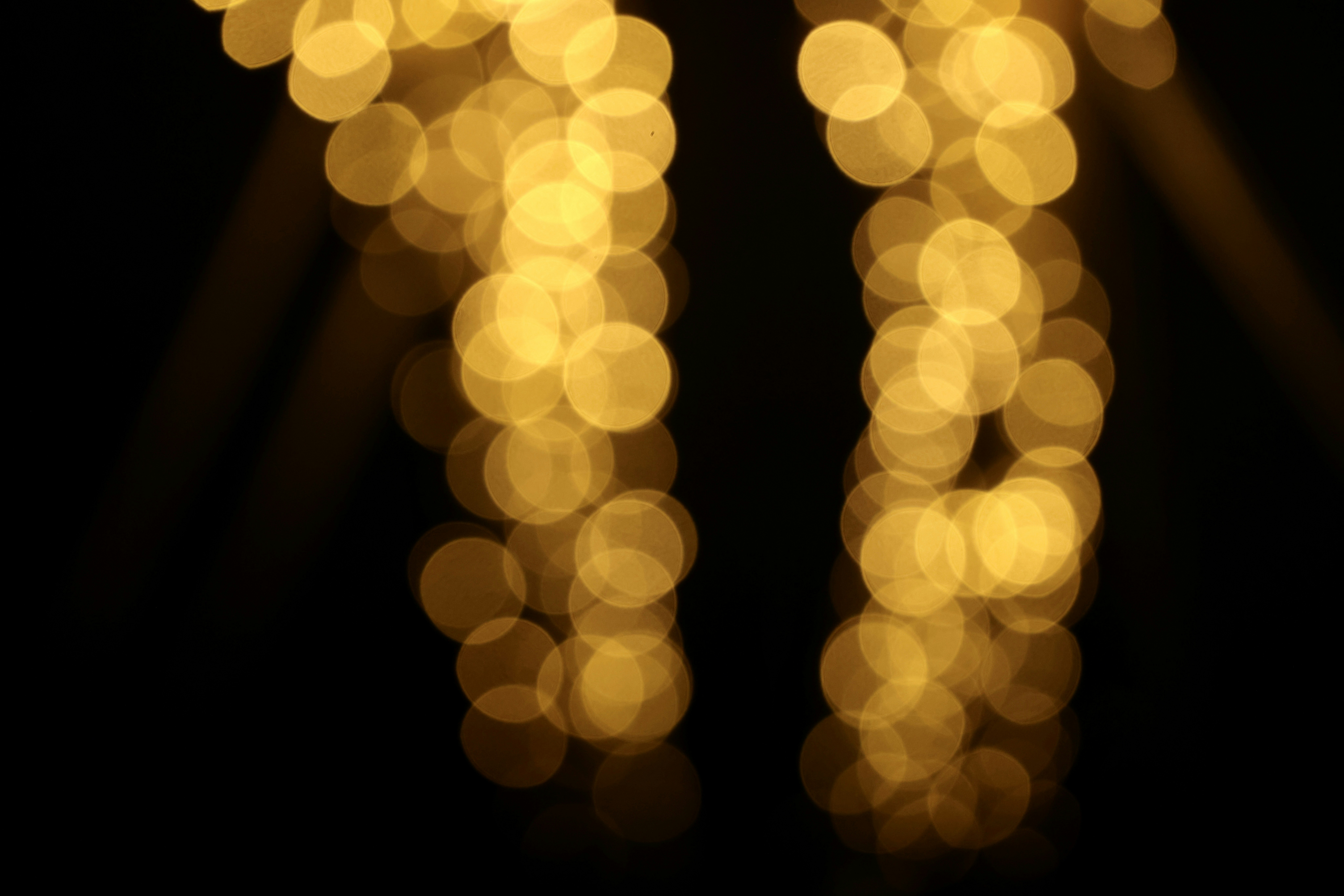 Photo by dickenslin76