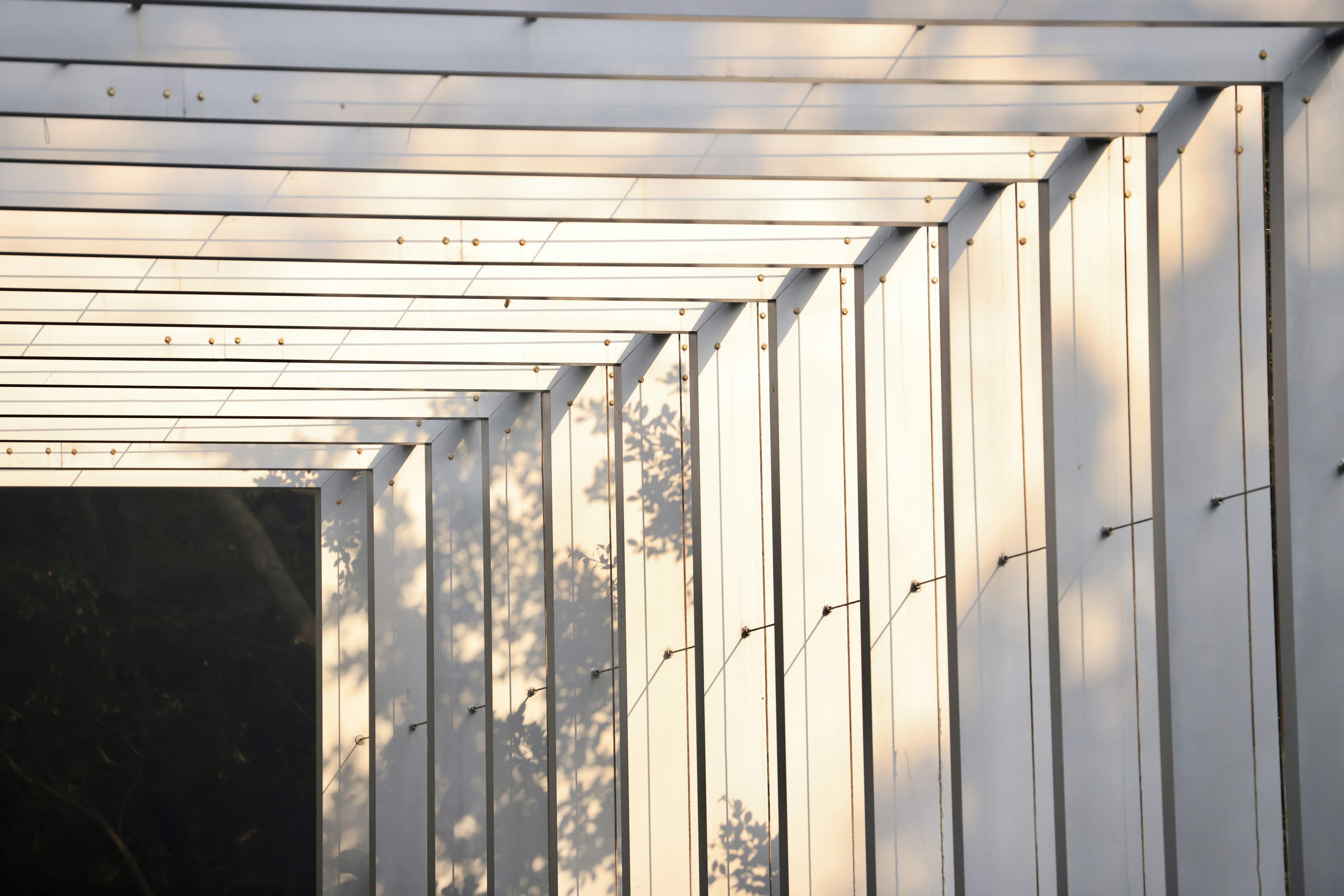 Photo by dickenslin76