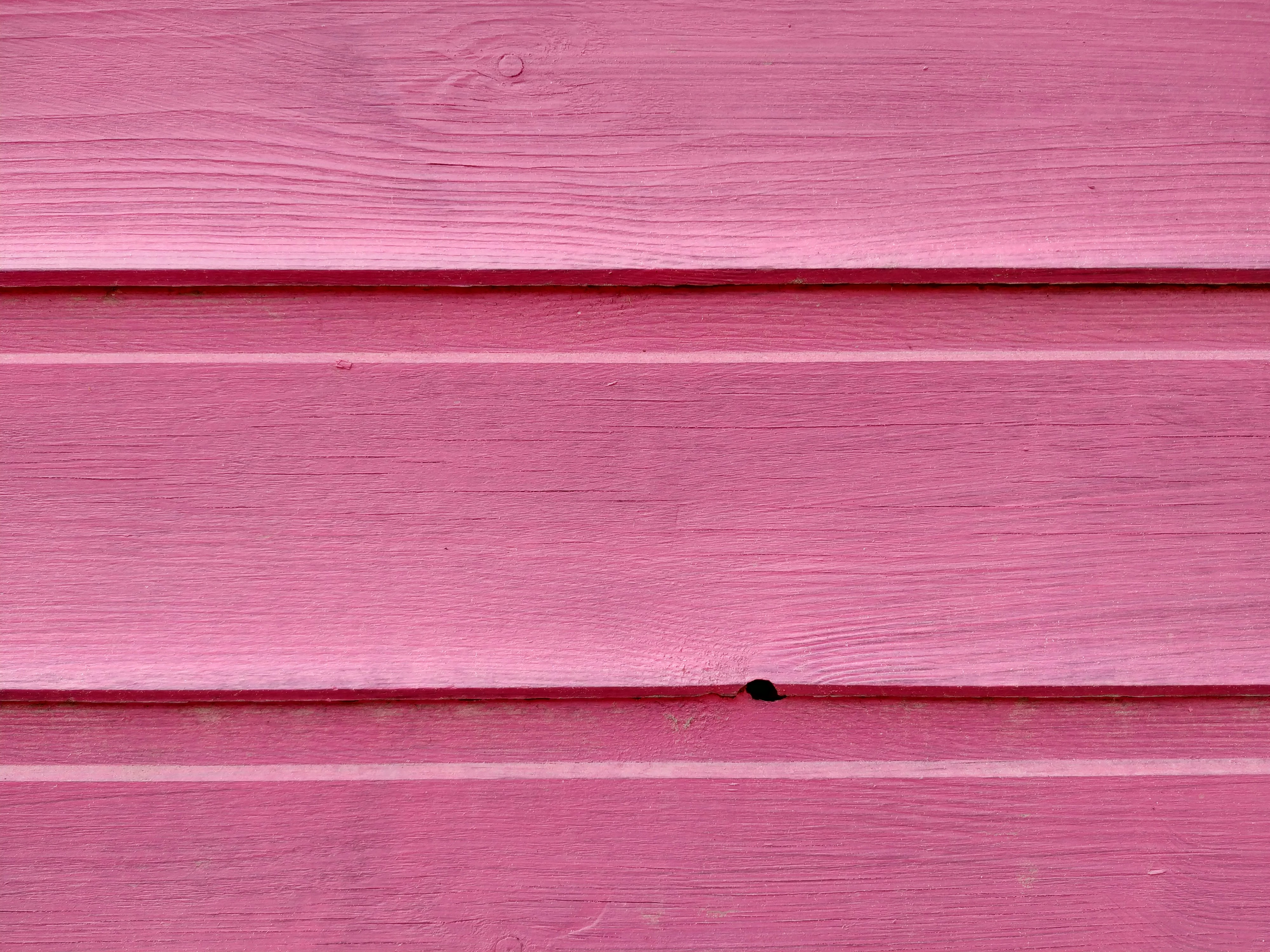 Photo by tatyanagorobtsova