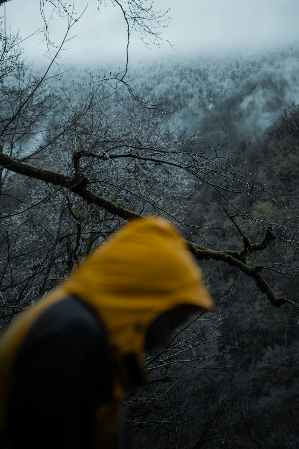 a man in a yellow jacket looking at a mountain