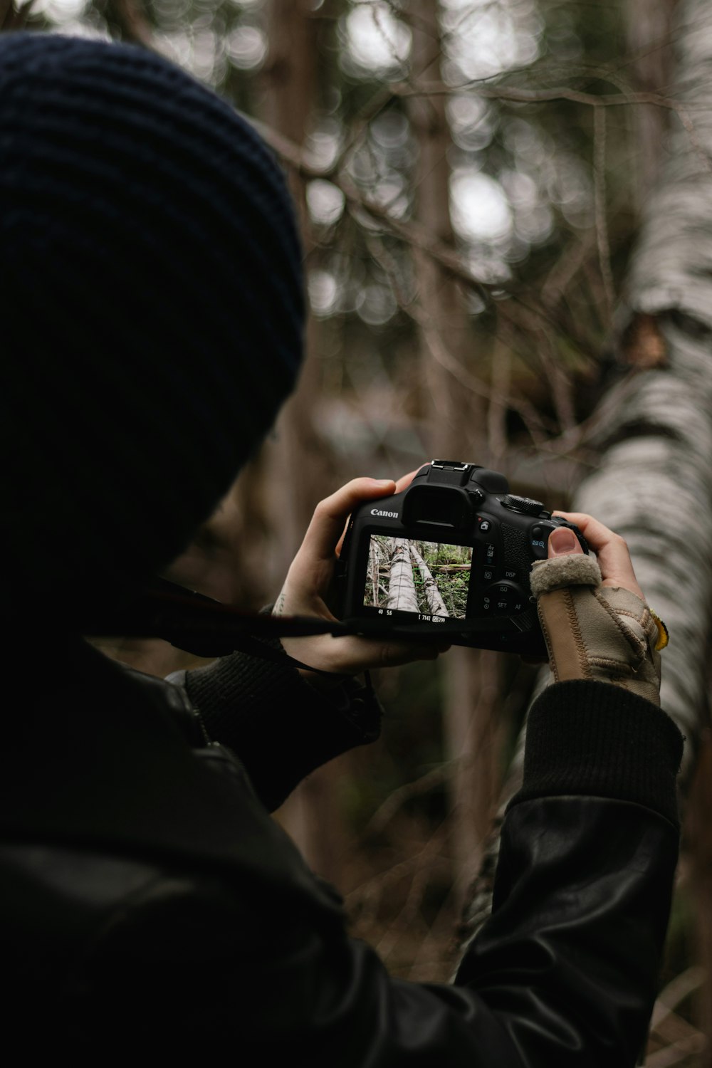 a person taking a picture of a forest with a camera