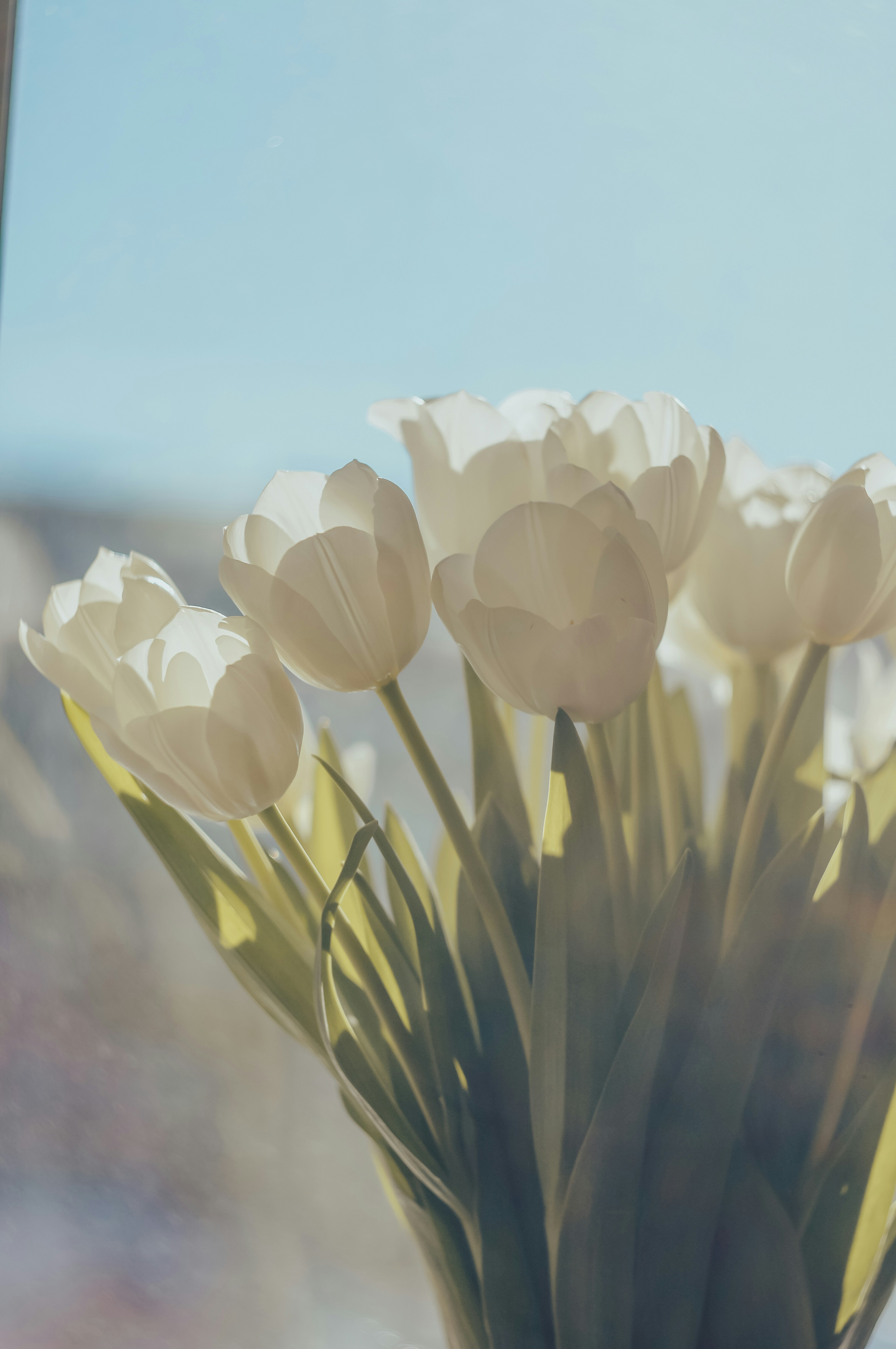 Photo by andrey_sinus